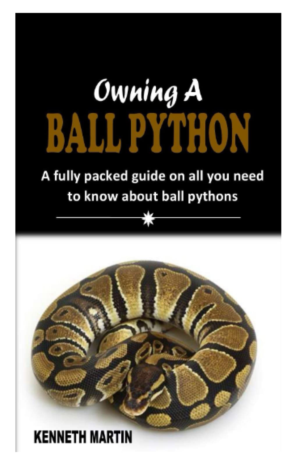 OWNING A BALL PYTHON A fully packed guide on all you need to know