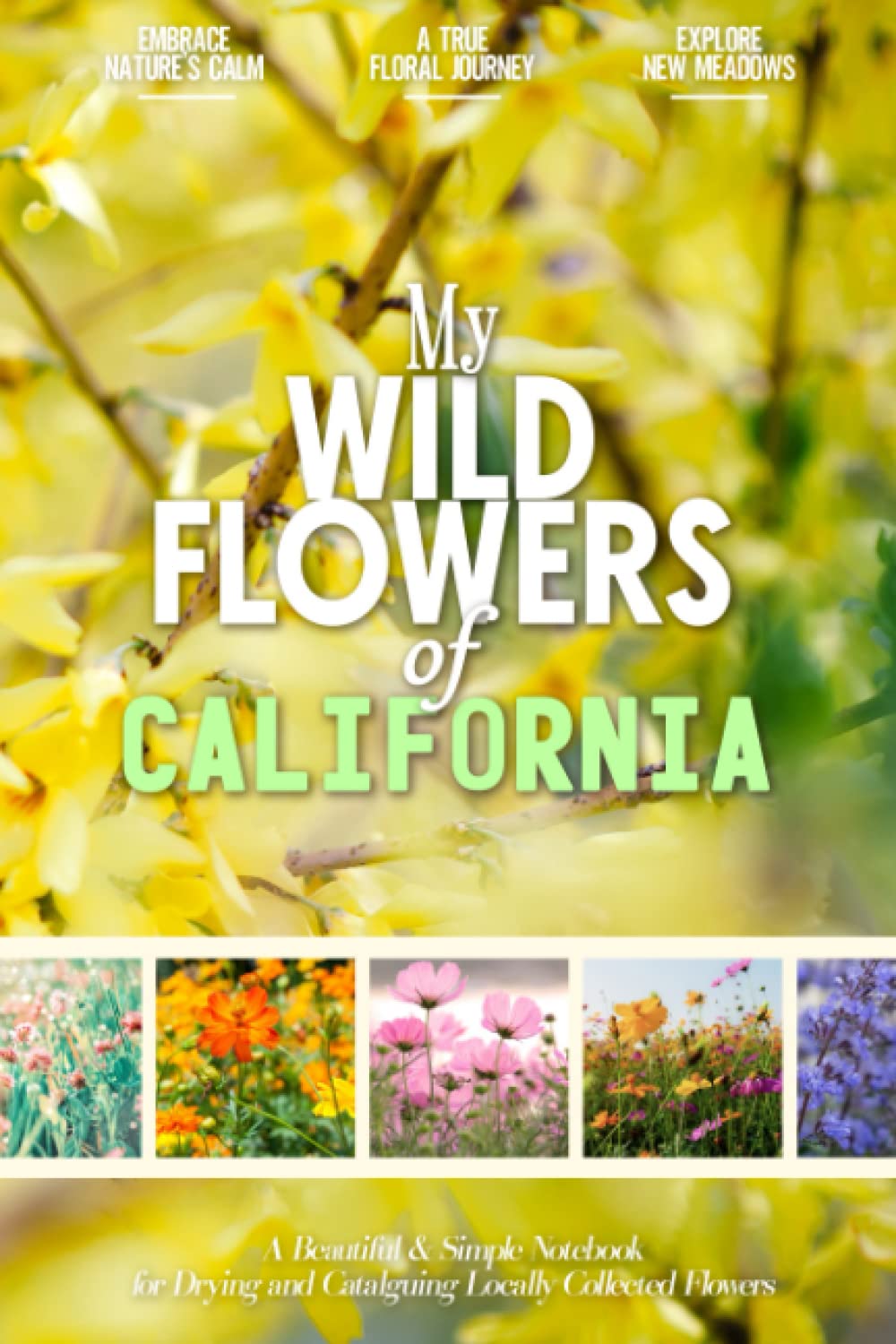 My Wildflowers of California A Beautiful and Colorful Herbarium