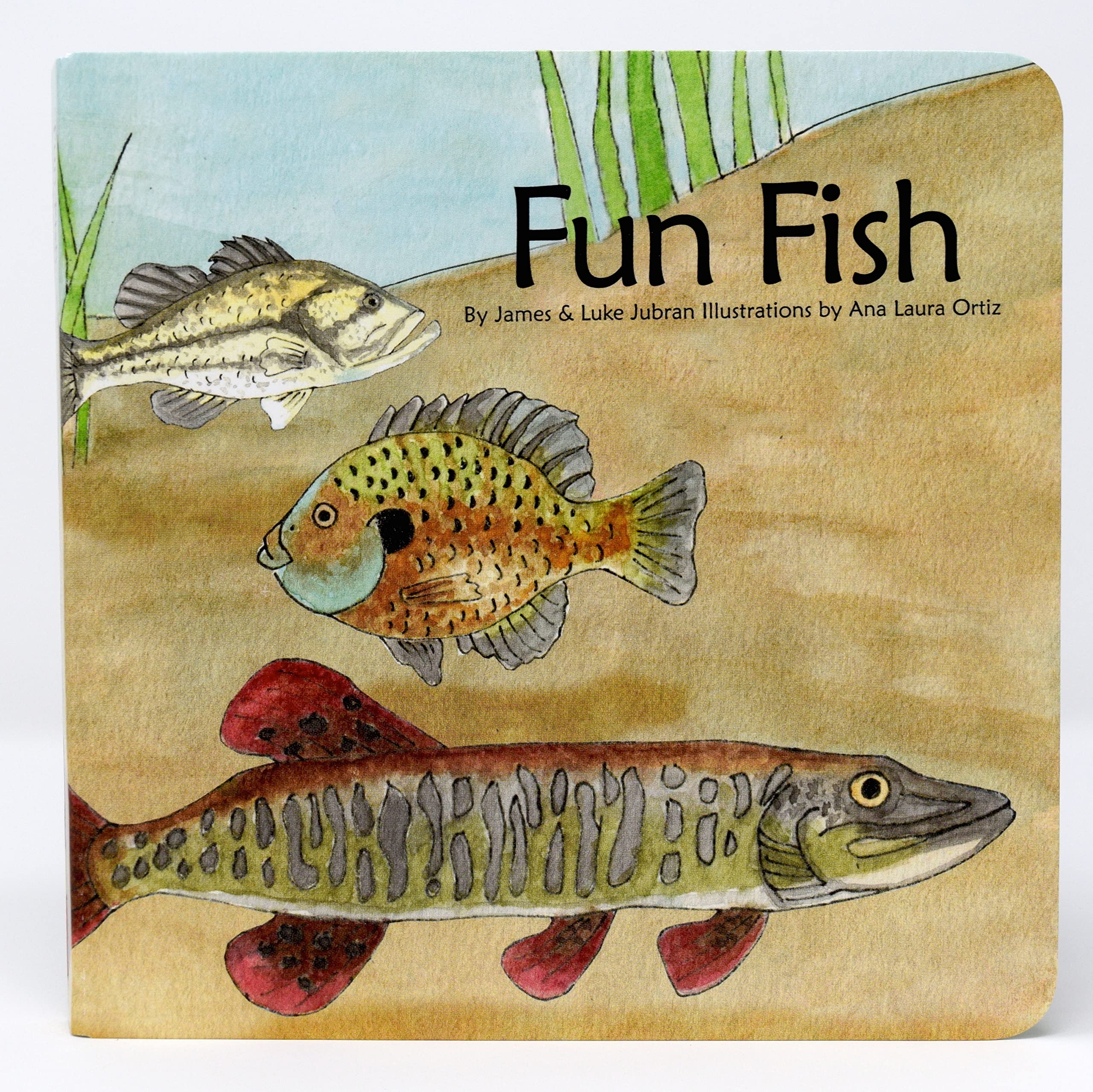 Fun Fish Children's Book, Board Book, Baby Book, Fish Book, Smile