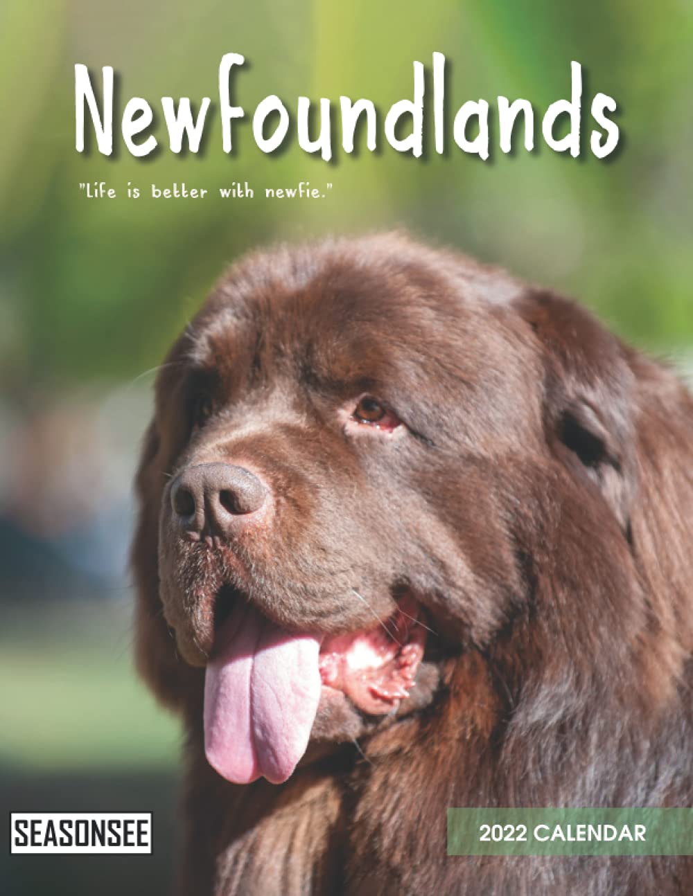 newfoundland-calendar-2022-gifts-for-friends-and-family-with-18-month