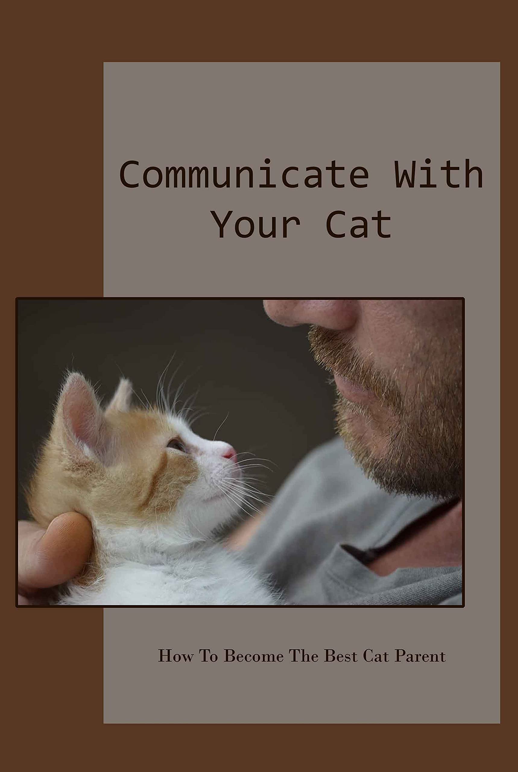 Communicate With Your Cat How To The Best Cat Parent by Dennis