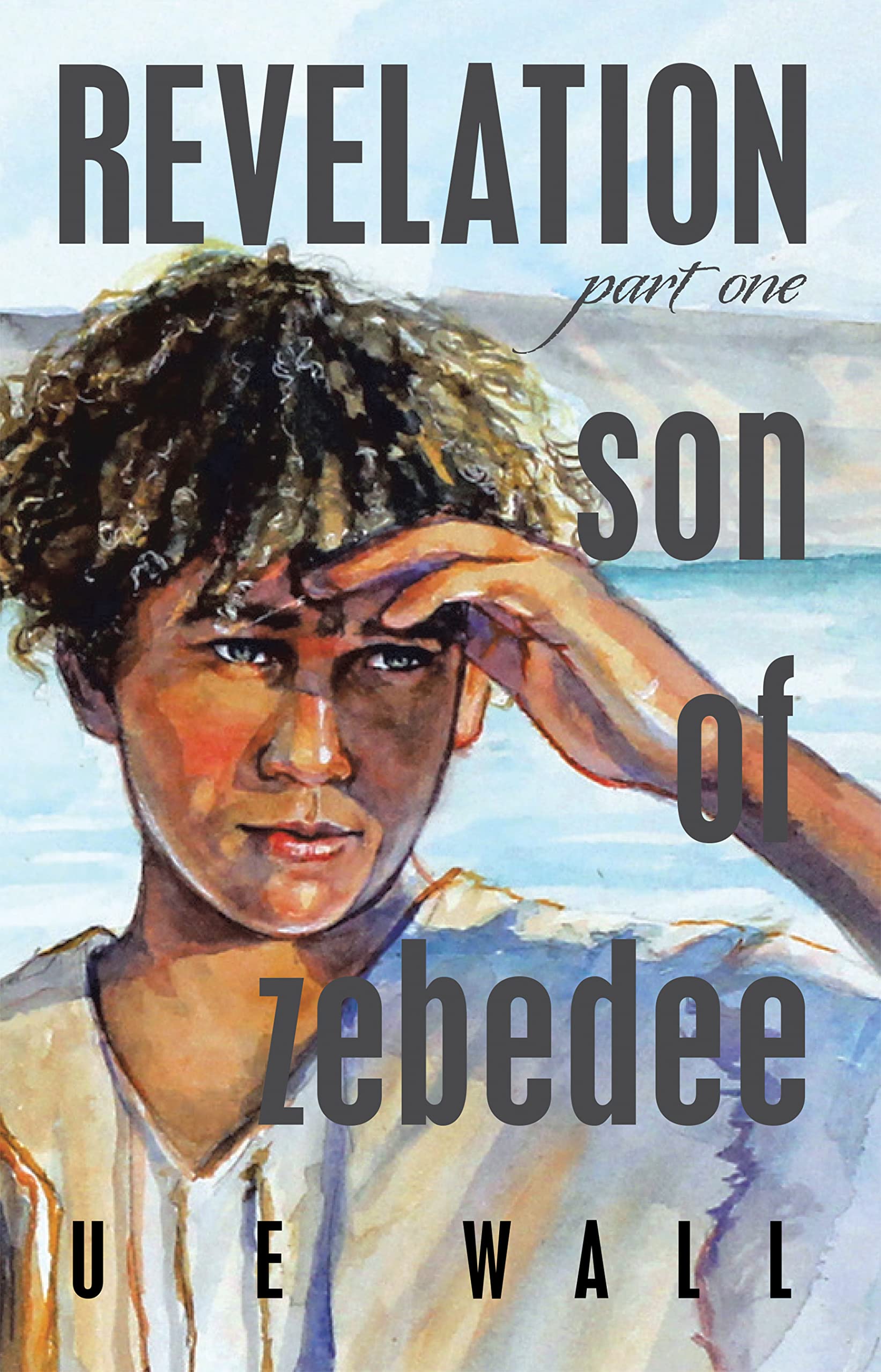 Revelation Son of Zebedee by U E Wall Goodreads