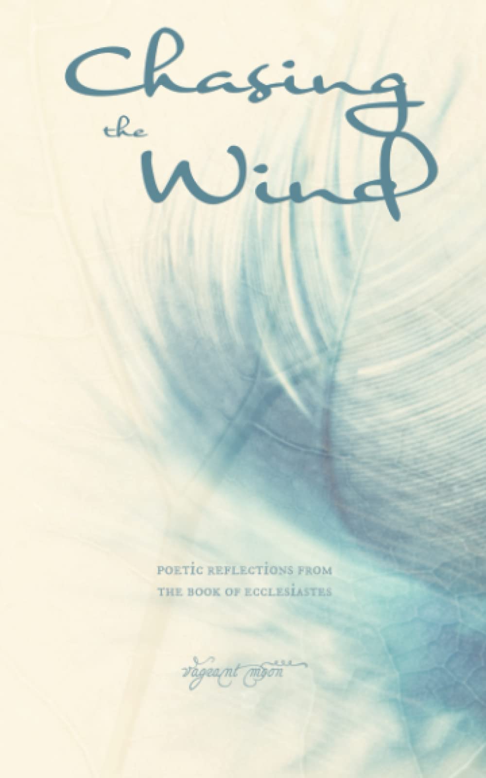 Chasing the Wind Poetic Reflections from the Book of Ecclesiastes by