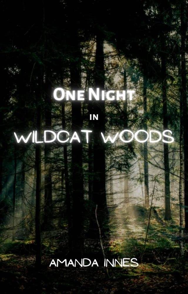 Amanda Innes One Night in Wildcat Woods (Drew & Rayze Book 1) by Amanda Innes ...