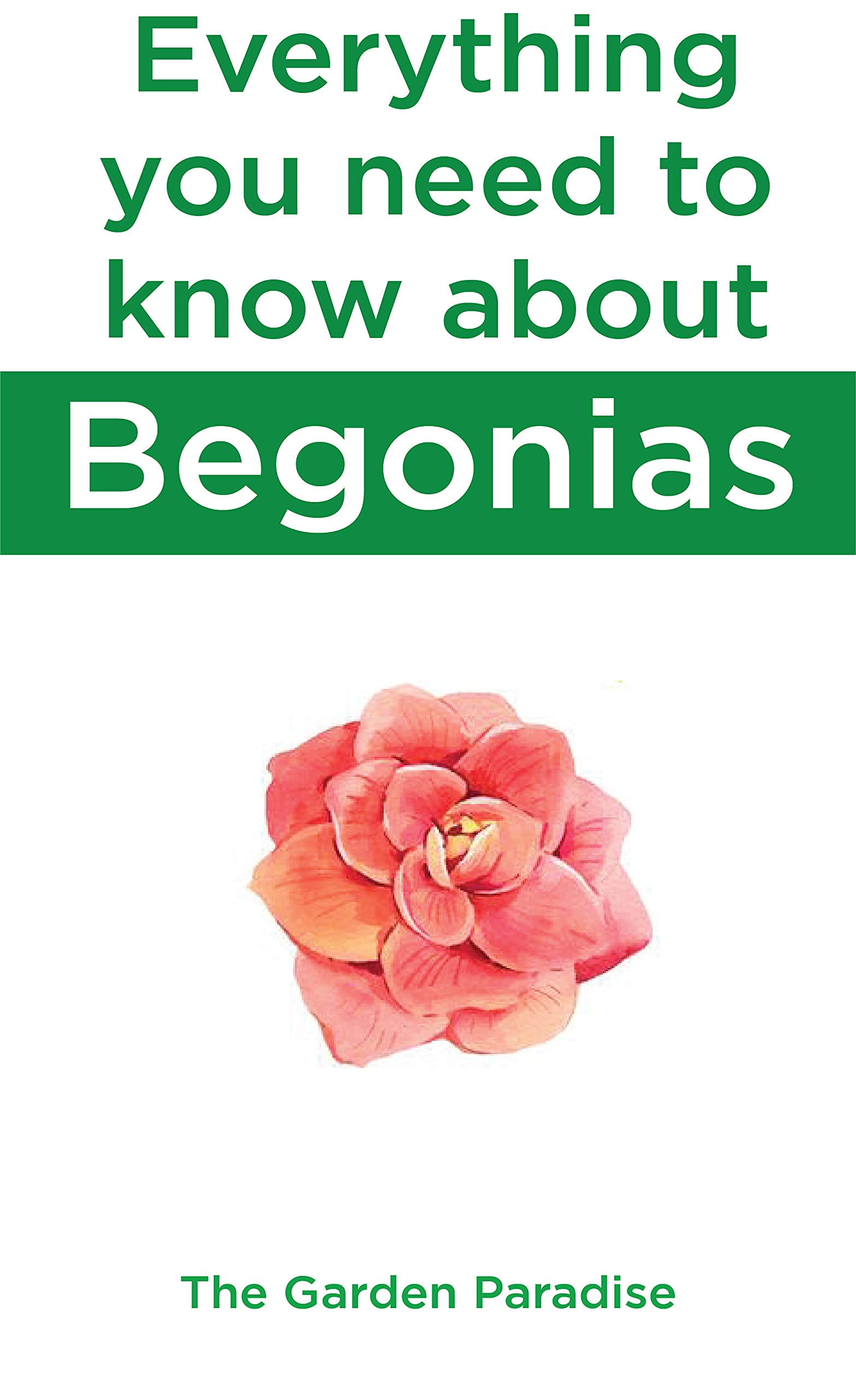 Everything you need to know about Begonias A guide to grow a healthy