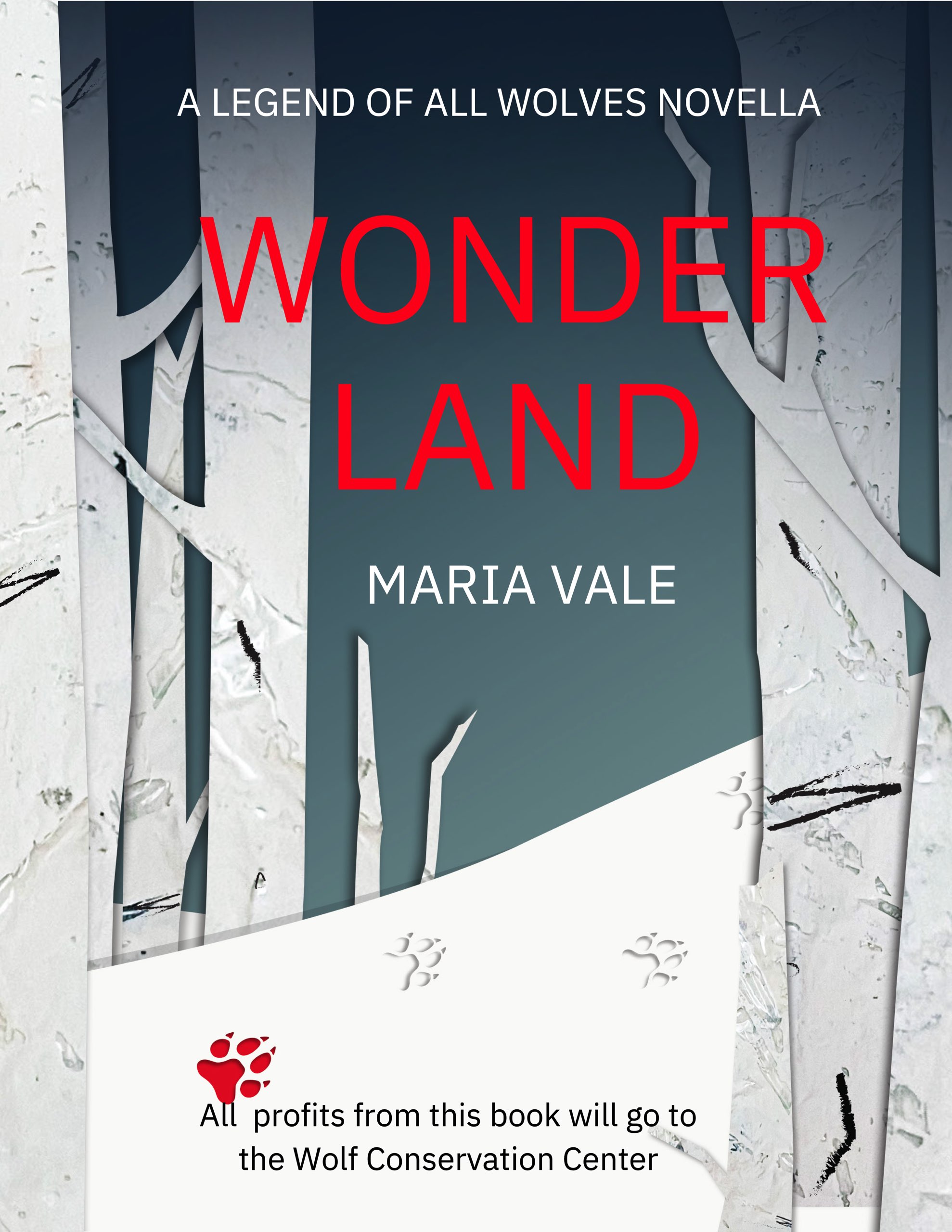 Wonder Land book cover