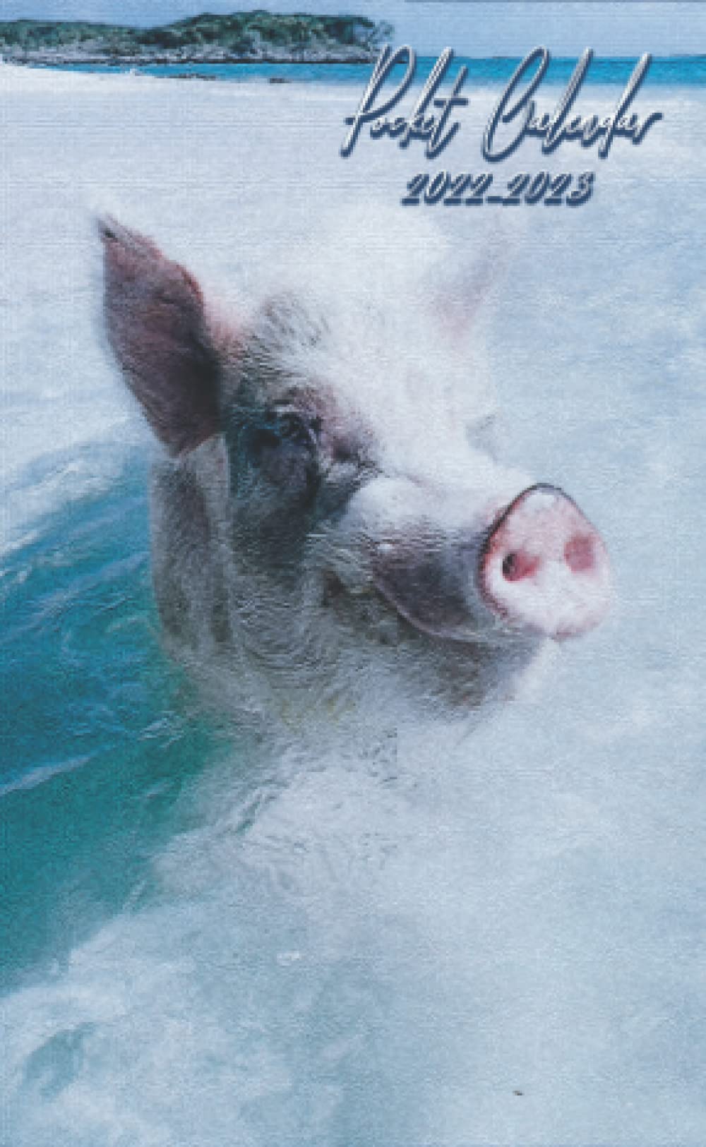 2 Year Pocket Calendar 20222023 Cute Pig 2Year Agenda Schedule Organizer Logbook TwoYear