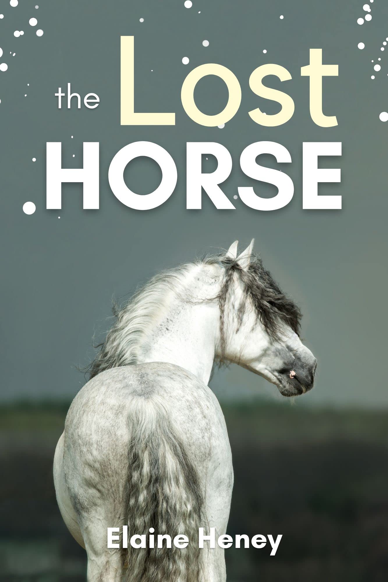 The Lost Horse - Book 6 in the Connemara Horse Adventure Series for Kids | The Perfect Gift for Children age 8-12