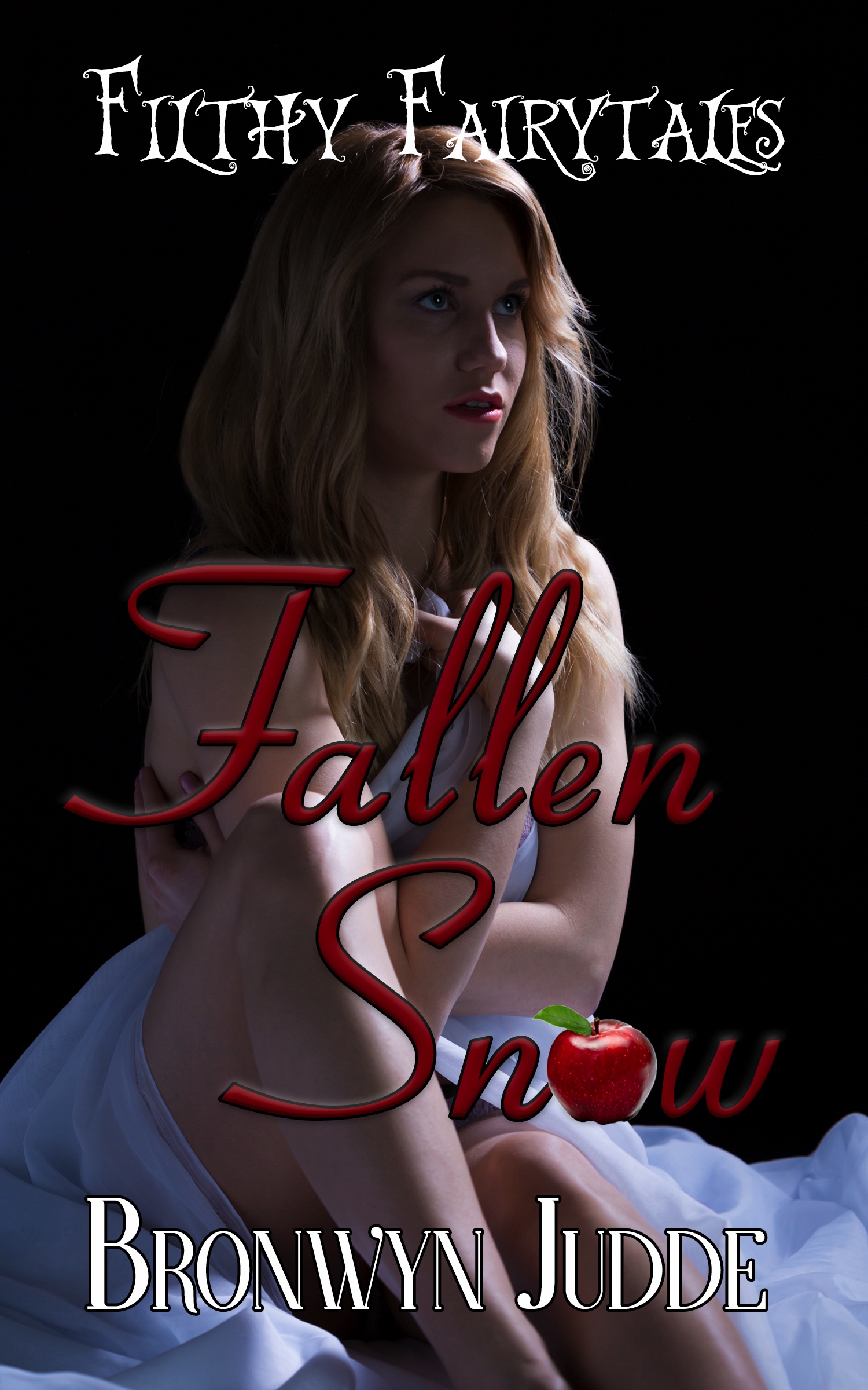 Fallen Snow book cover