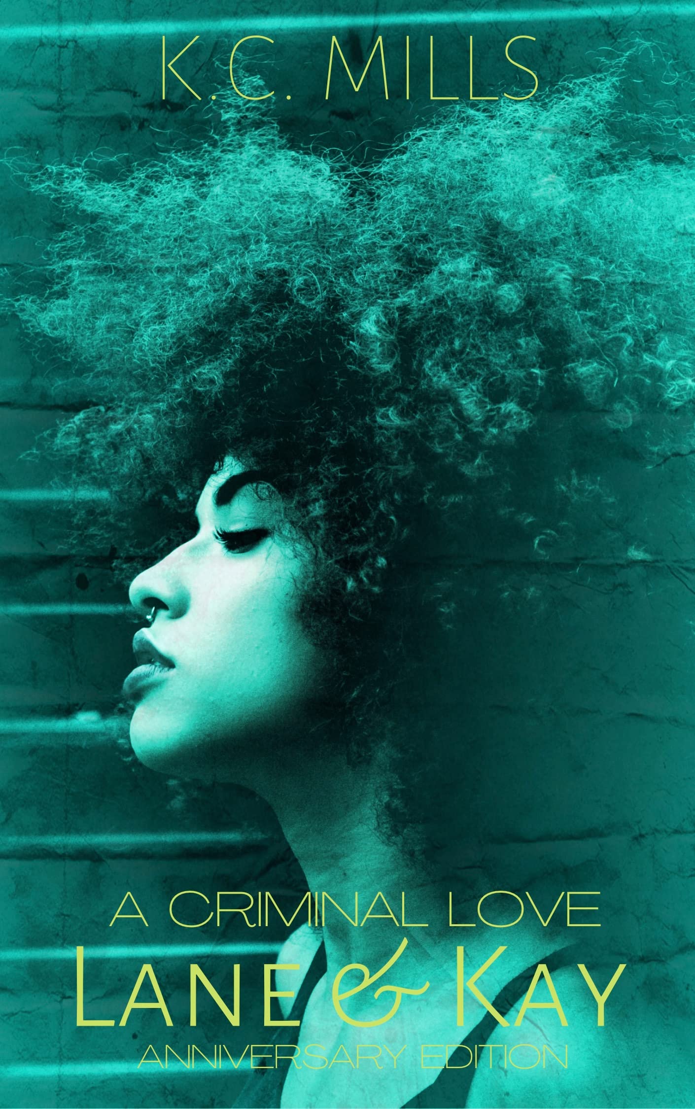 Lane & Kay book cover