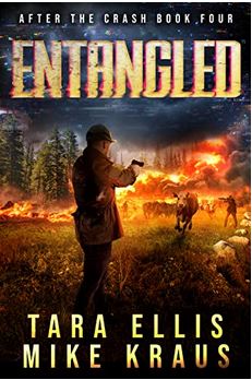 Entangled: After the Crash Book 5