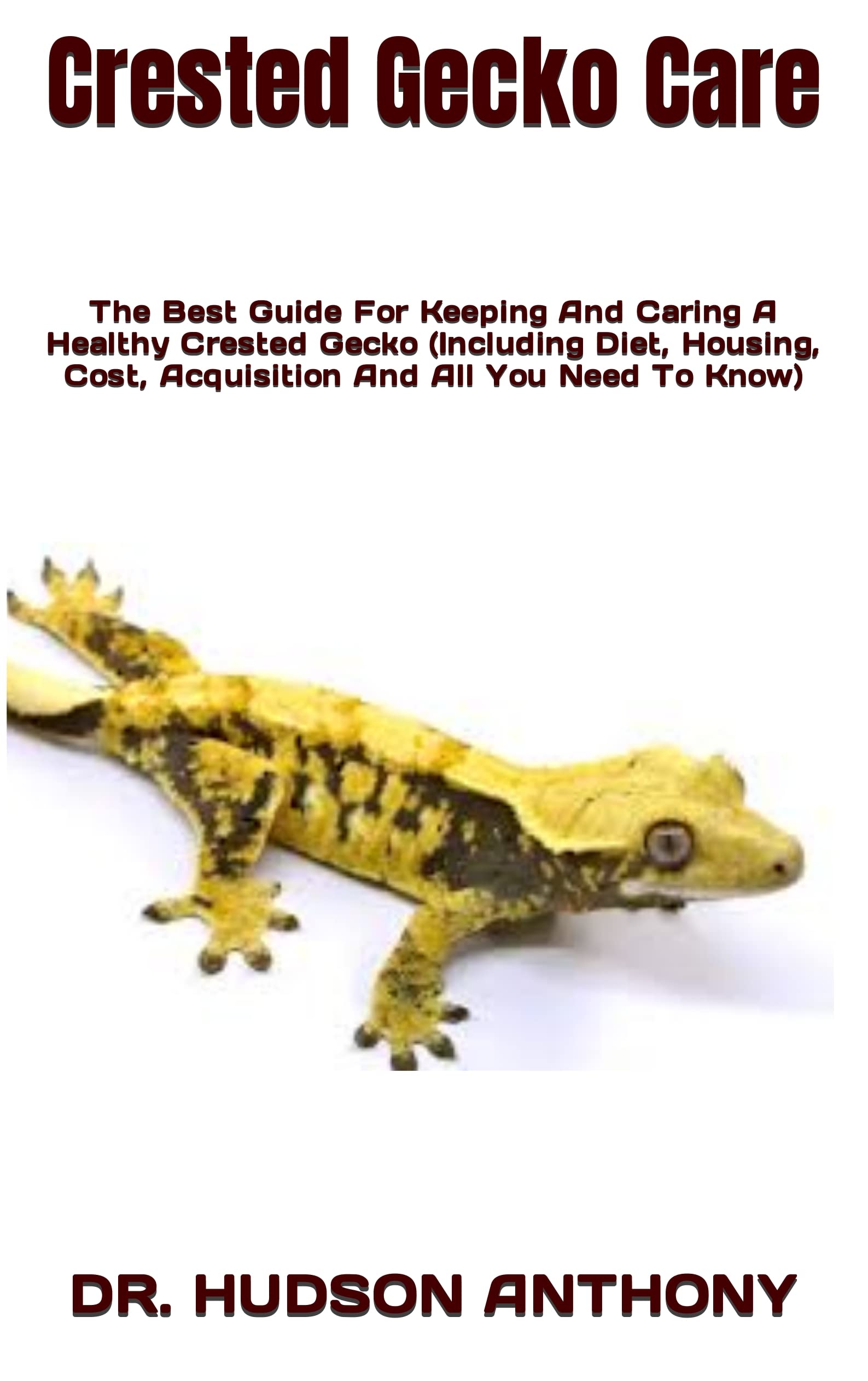 Crested Gecko Care The Best Guide For Keeping And Caring A Healthy
