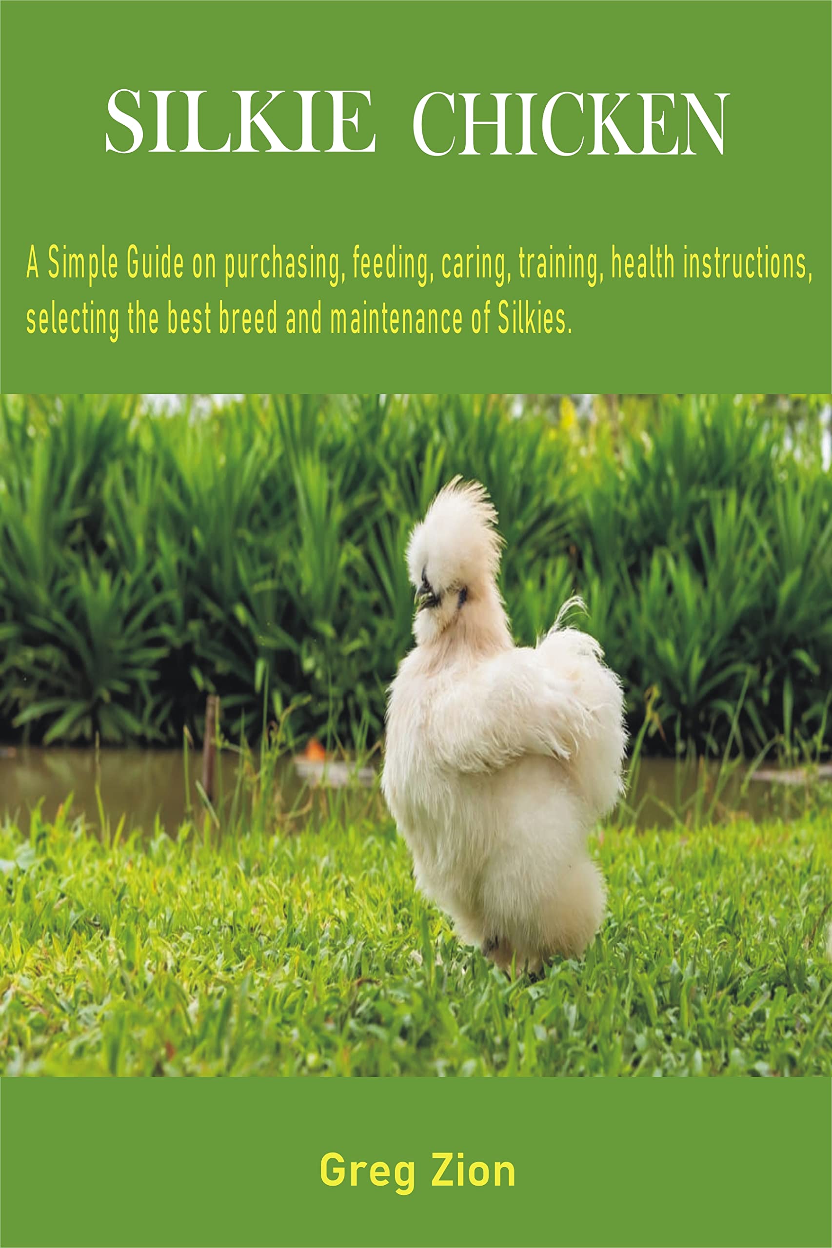 SILKIE CHICKEN A Simple Guide on purchasing, feeding, caring, training