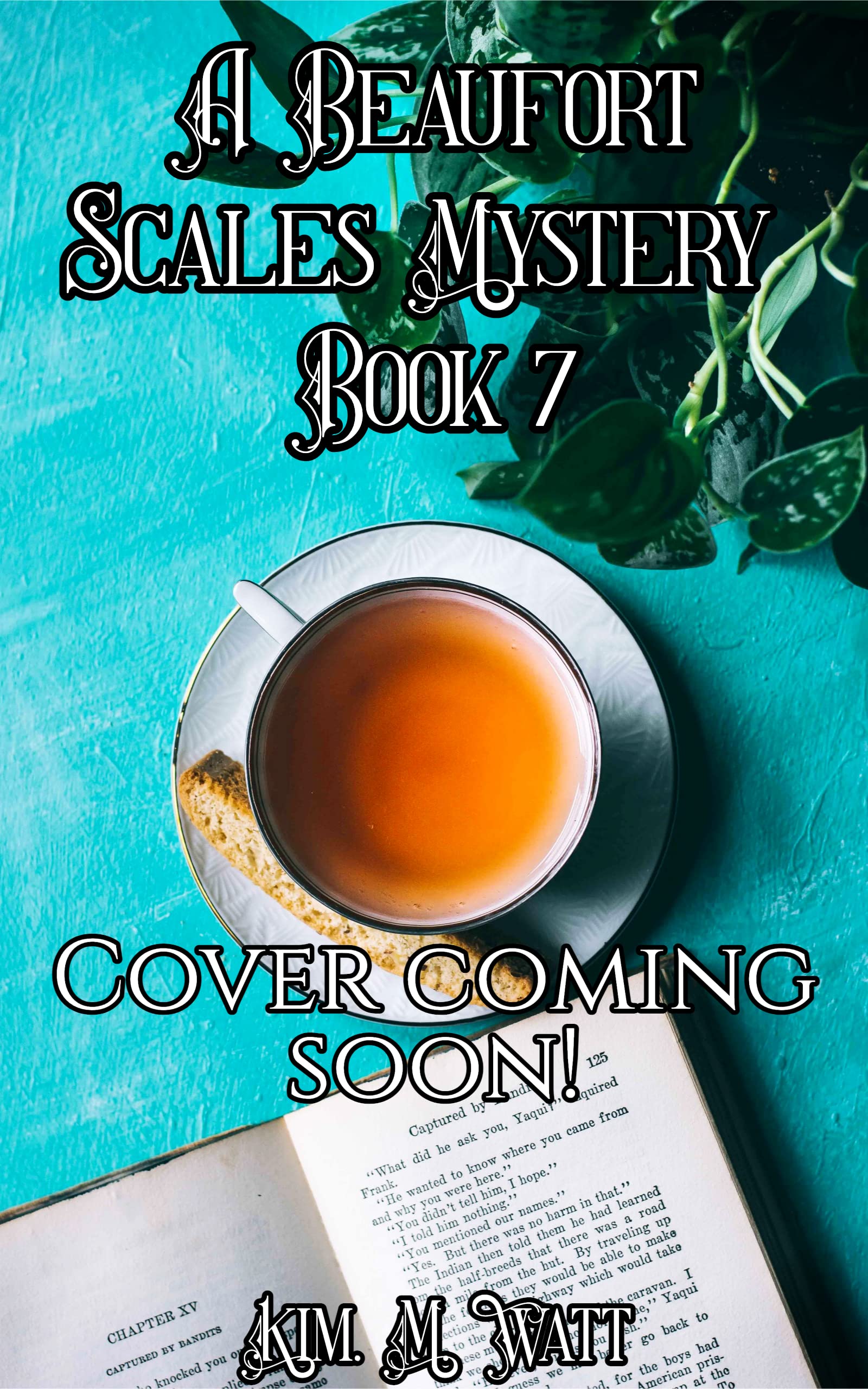Beaufort Scales Mystery book cover 2