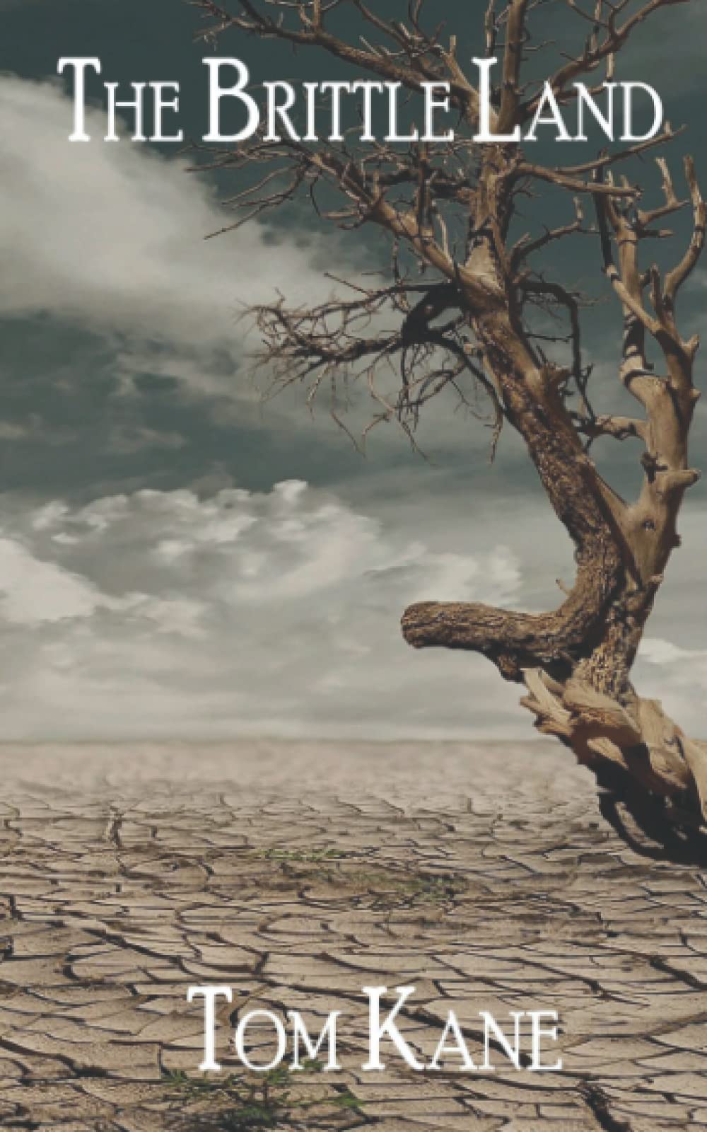 The Brittle Land (The Brittle Saga Trilogy) by Tom Kane Goodreads