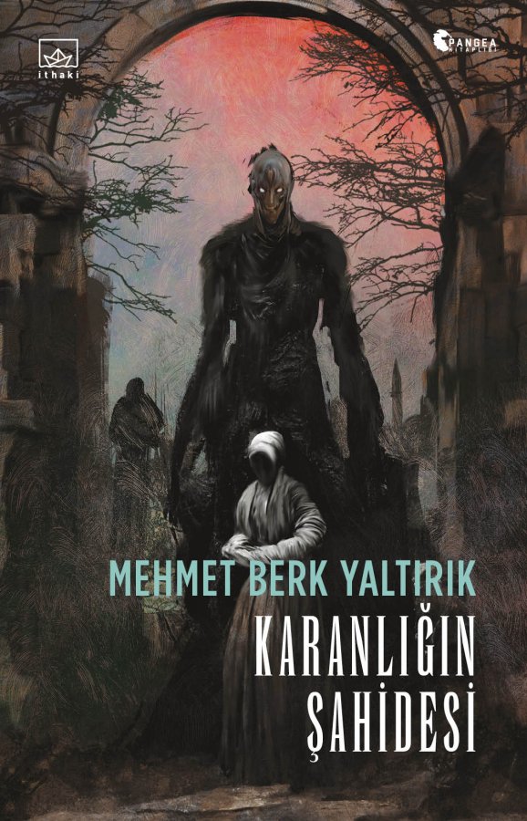 Karanlığın Şahidesi book cover