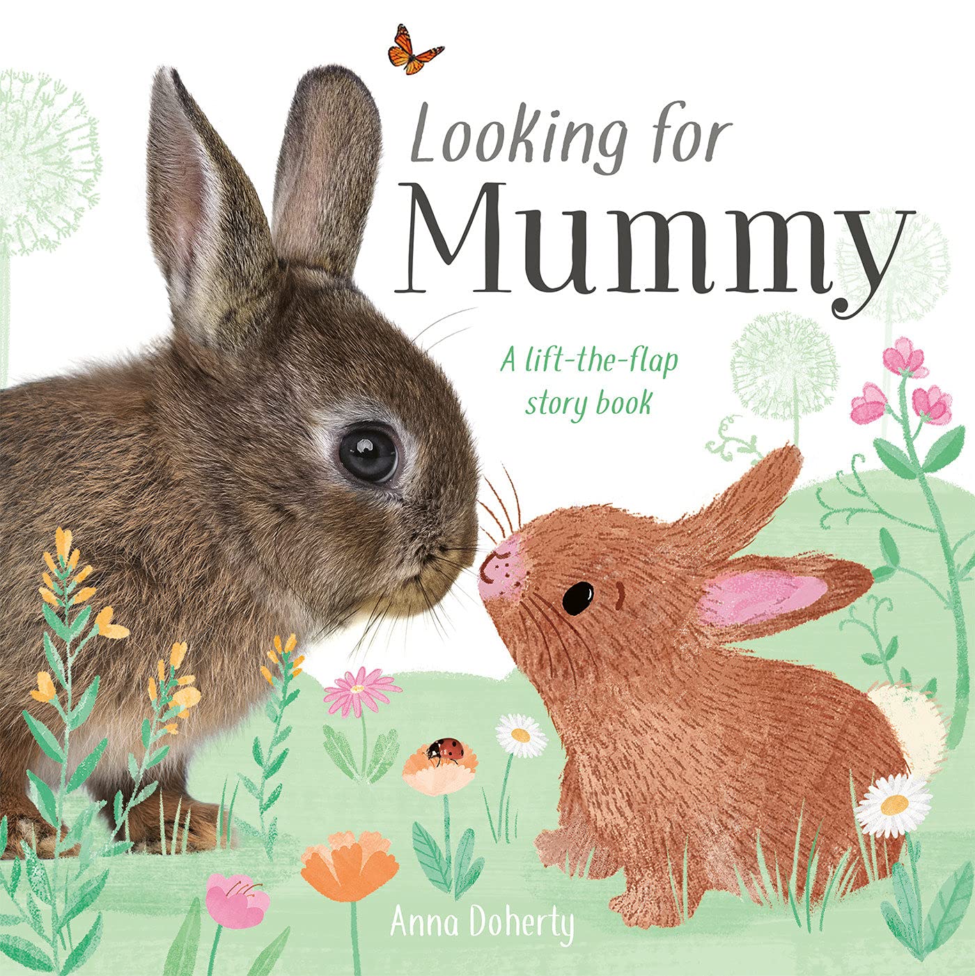 Looking for Mommy