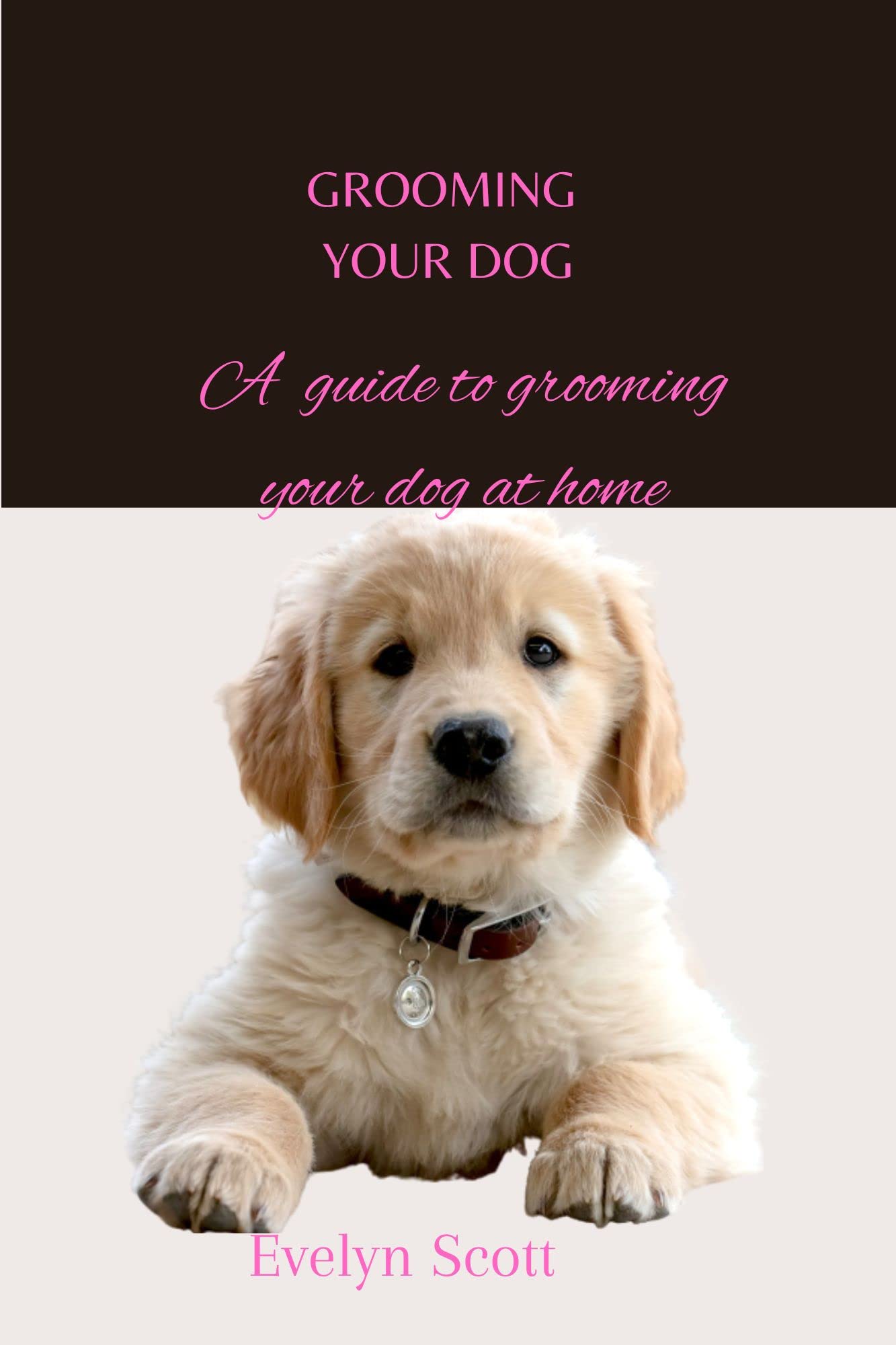 Grooming your dog A guide on to Grooming your dog at home by Evelyn