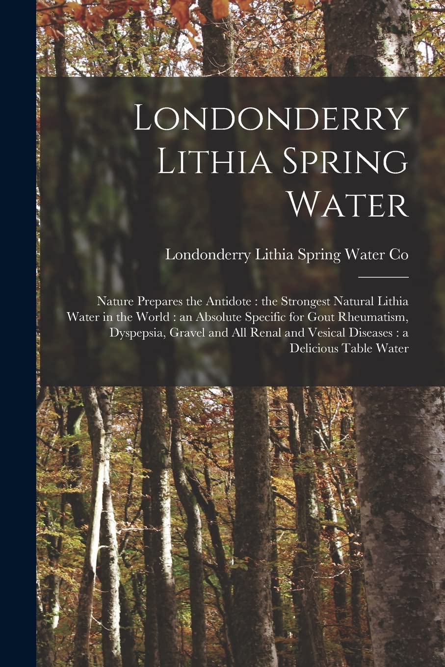 Londonderry Lithia Spring Water Nature Prepares the Antidote the