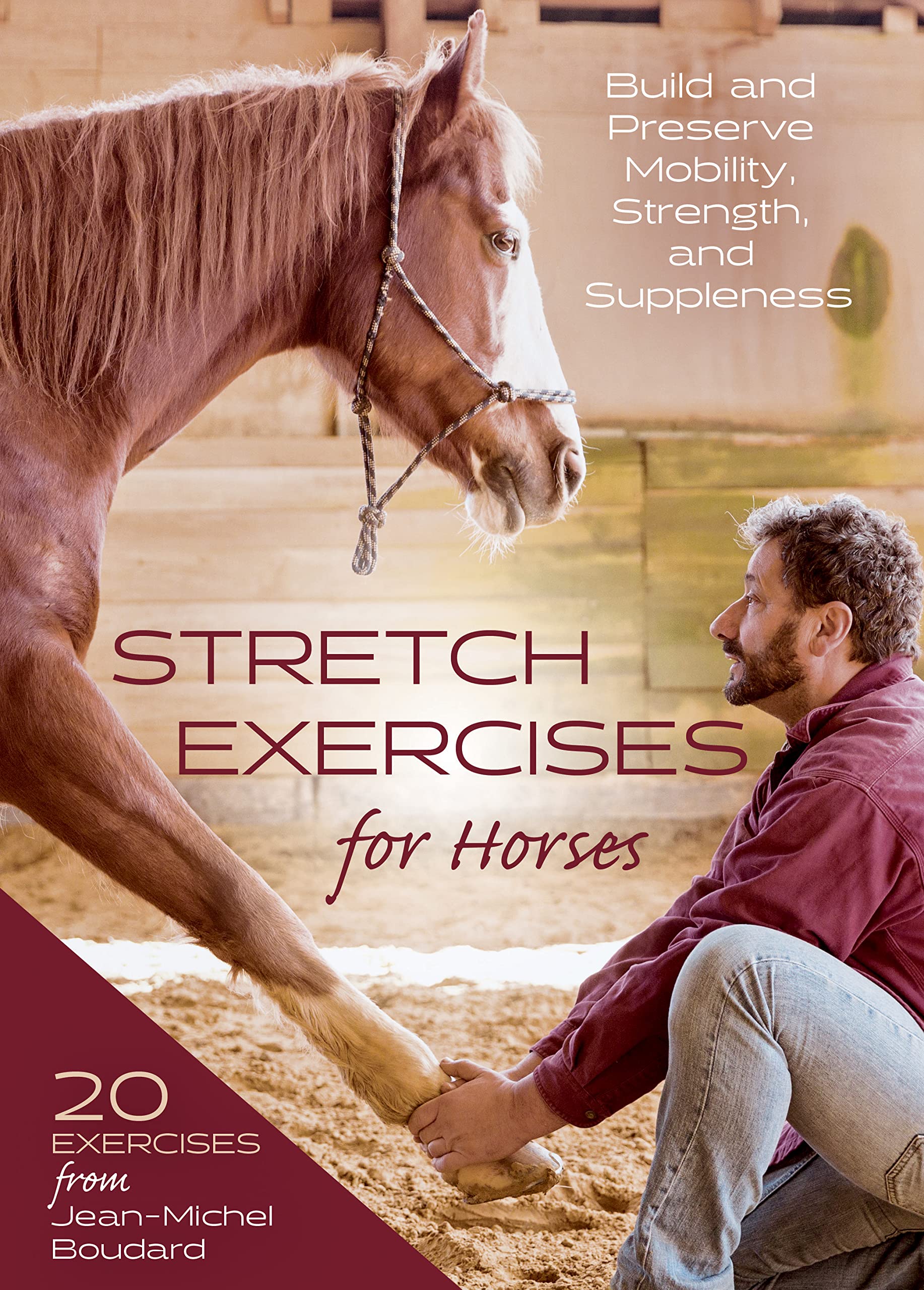 Stretch Exercises for Horses Build and Preserve Mobility, Strength and Suppleness by Jean