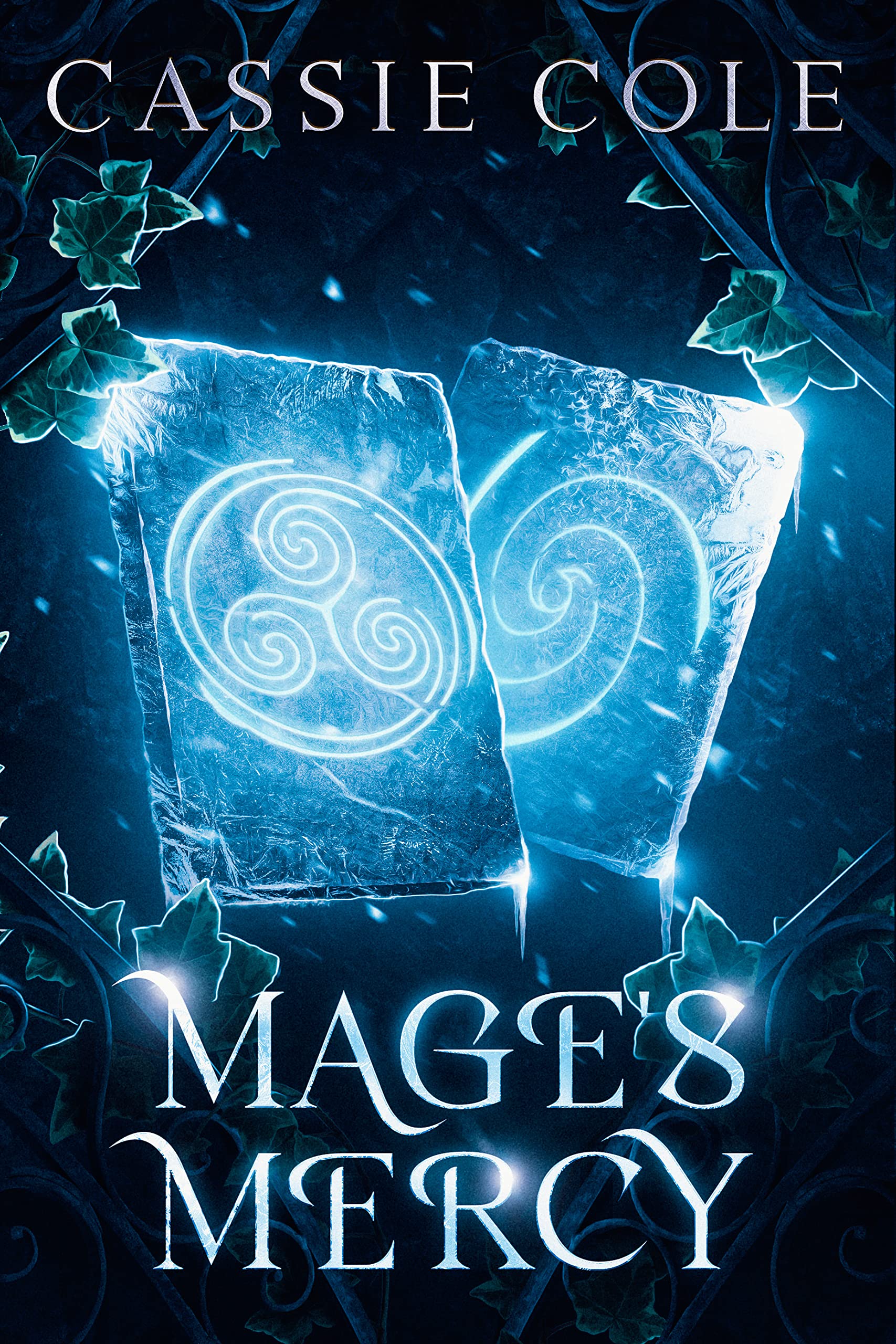 Mage's Mercy book cover