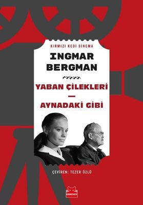 Yaban Çilekleri - Aynadaki Gibi book cover