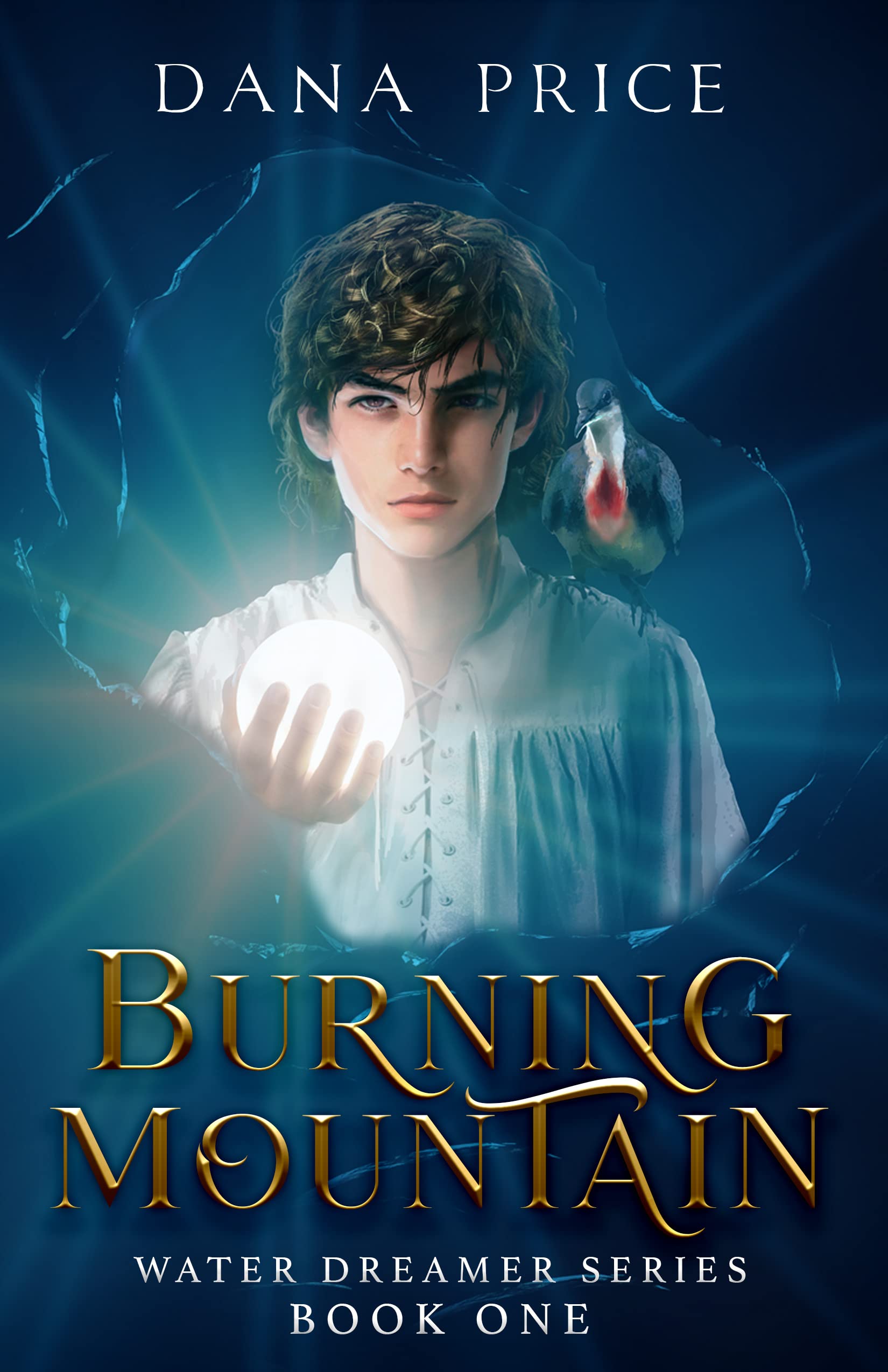 Burning Mountain By Dana Price Goodreads burning-mountain-by-dana-price-goodreads