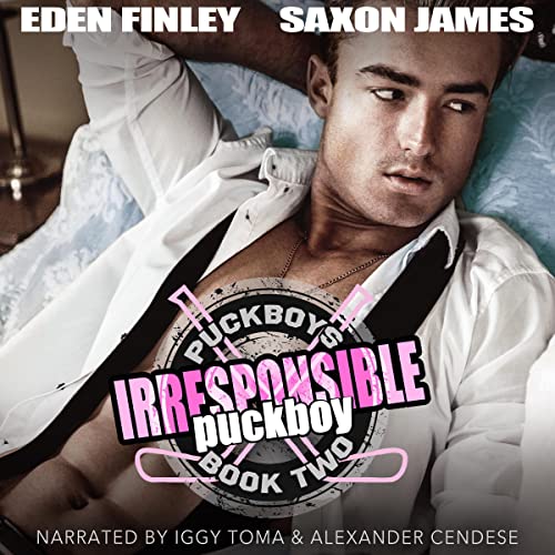 Irresponsible Puckboy (Puckboys, #2)
