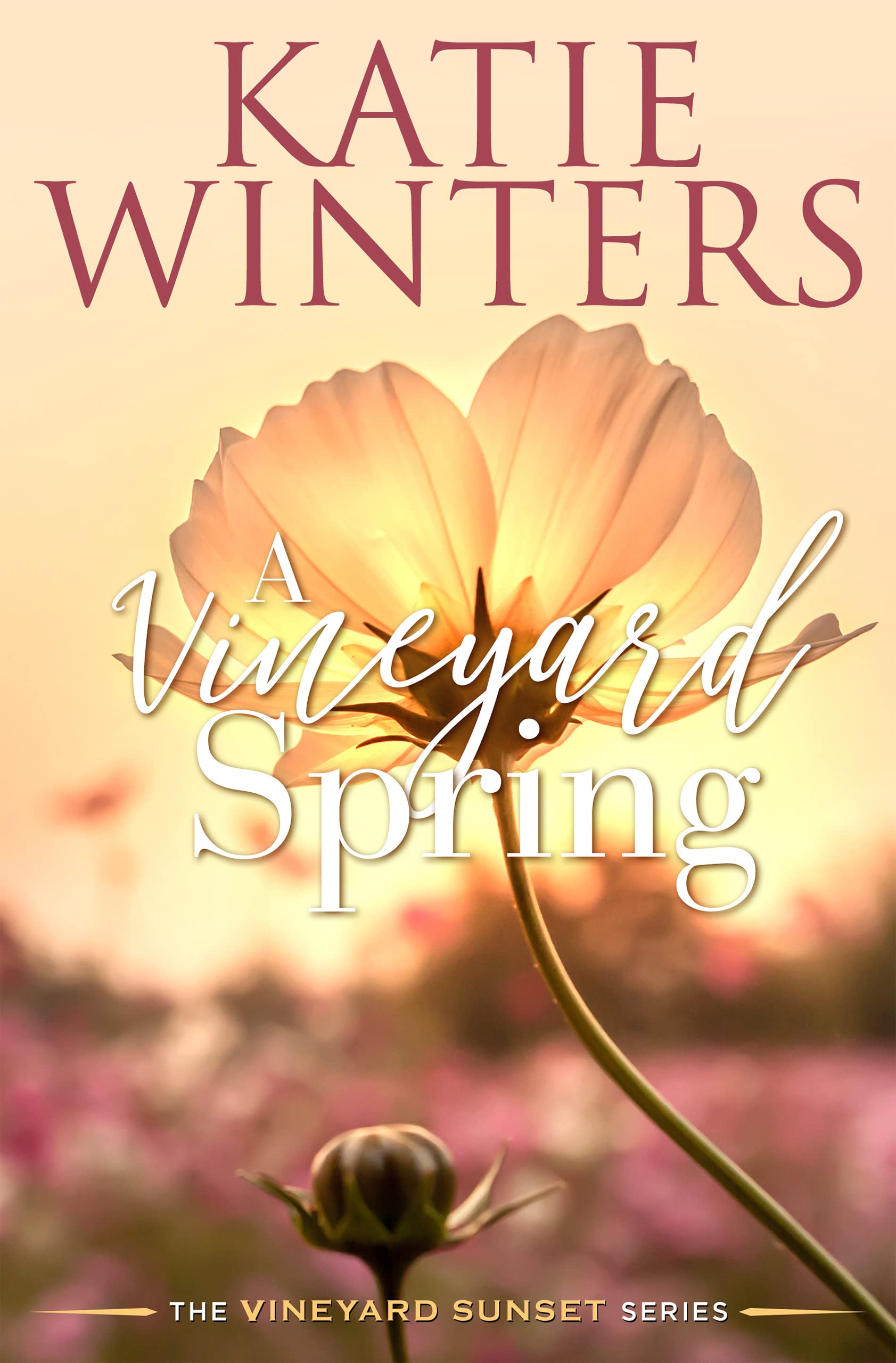 A Vineyard Spring book cover