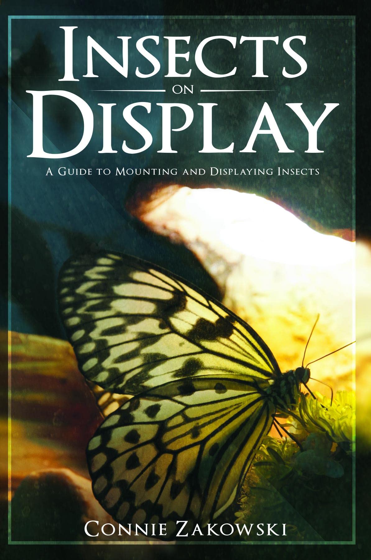 Insects on Display A Guide to Mounting and Displaying Insects by
