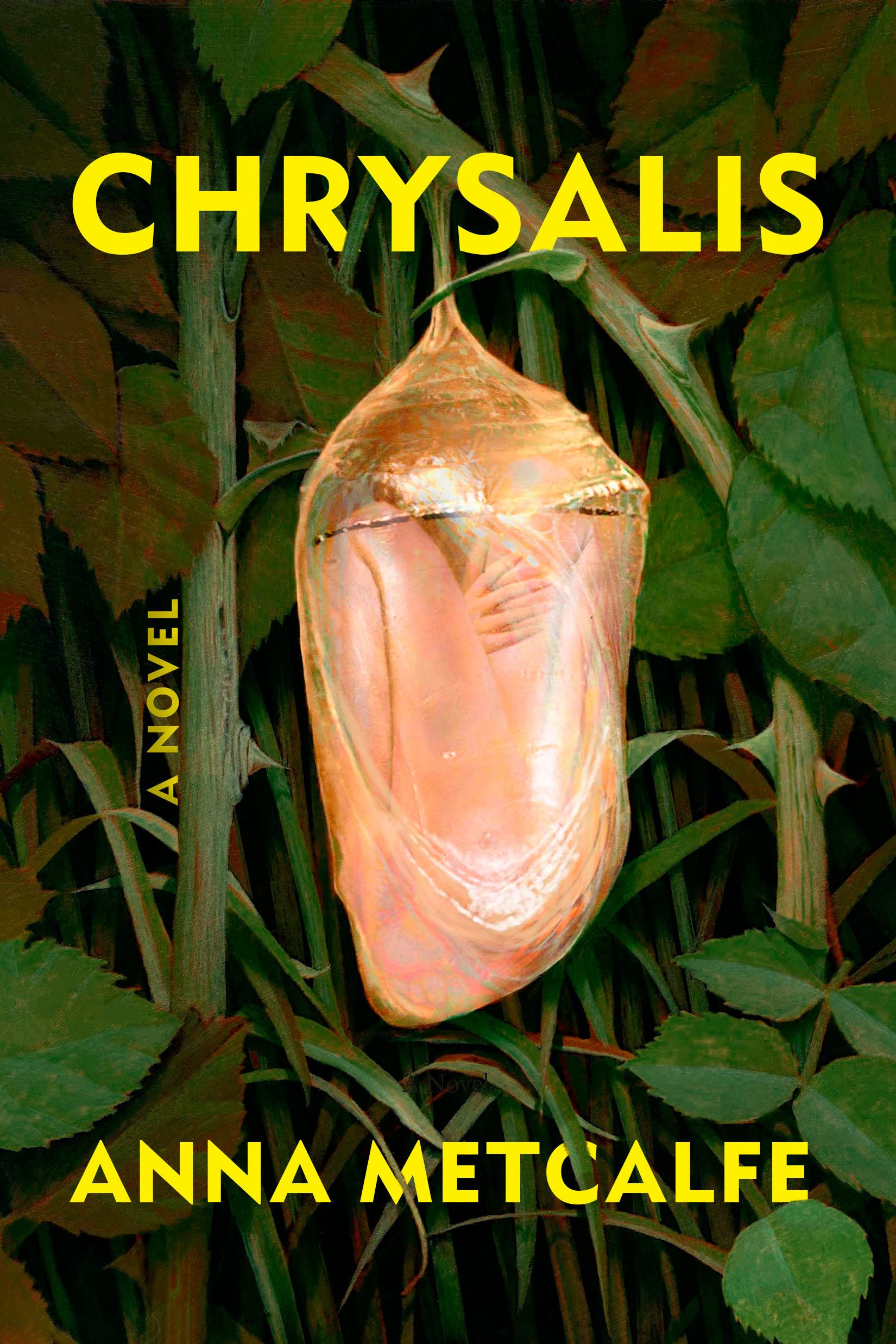 Chrysalis