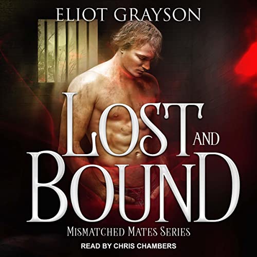 Lost and Bound (Mismatched Mates #4)