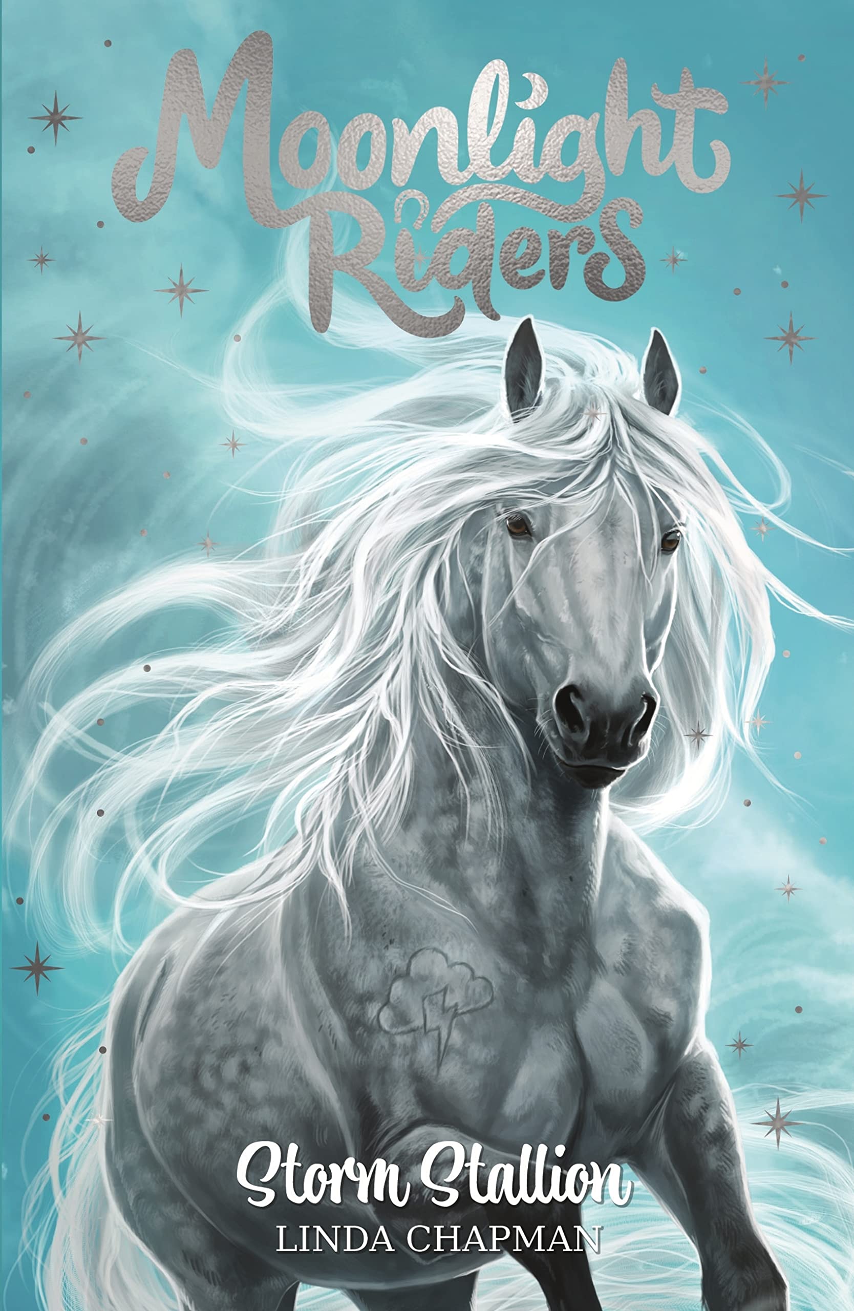 Storm Stallion book cover