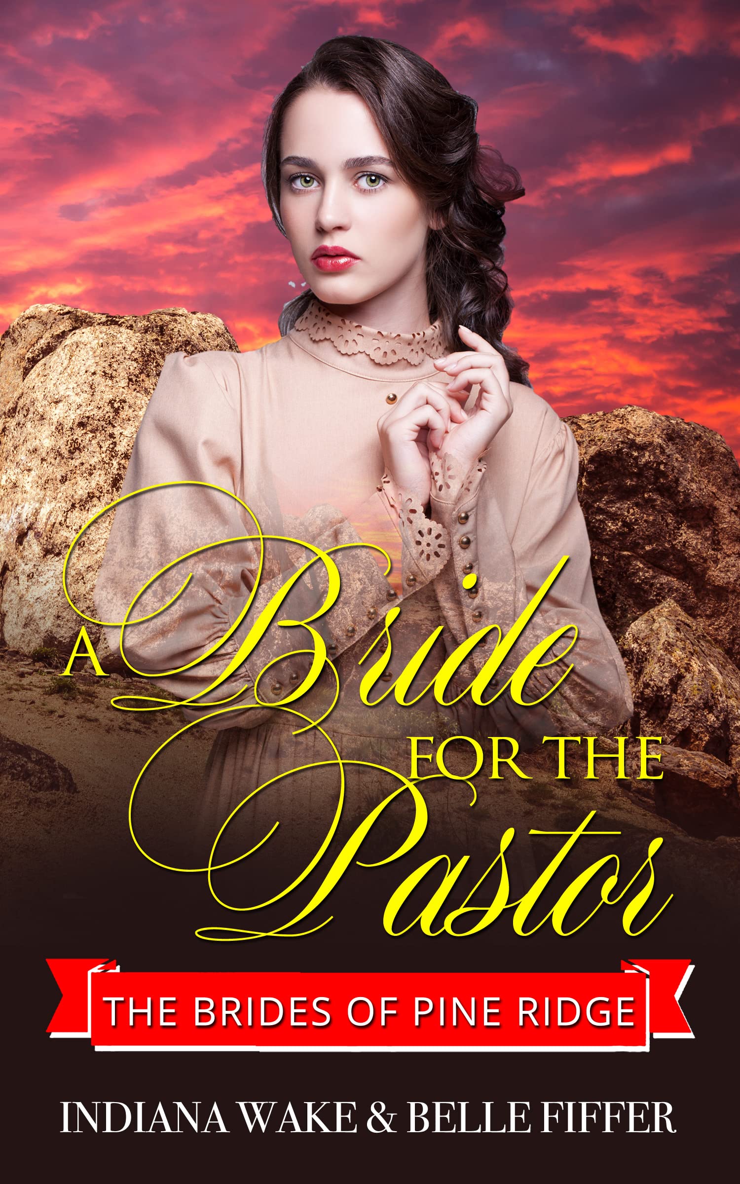 The Brides of Pine Ridge book cover 3