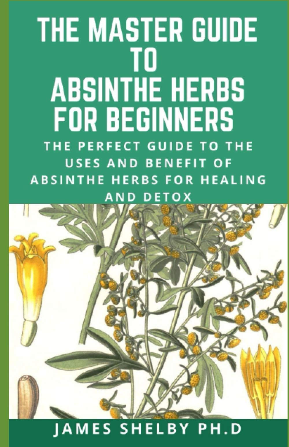 THE MASTER GUIDE TO ABSINTHE HERBS FOR BEGINNERS The Perfect Guide To