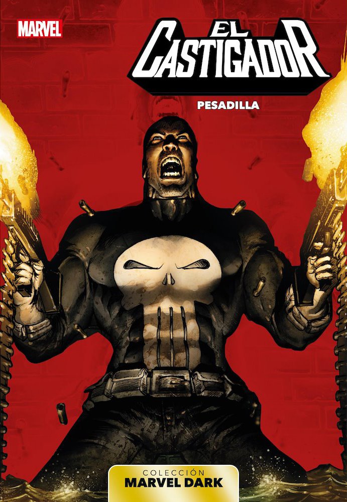 The Punisher book cover