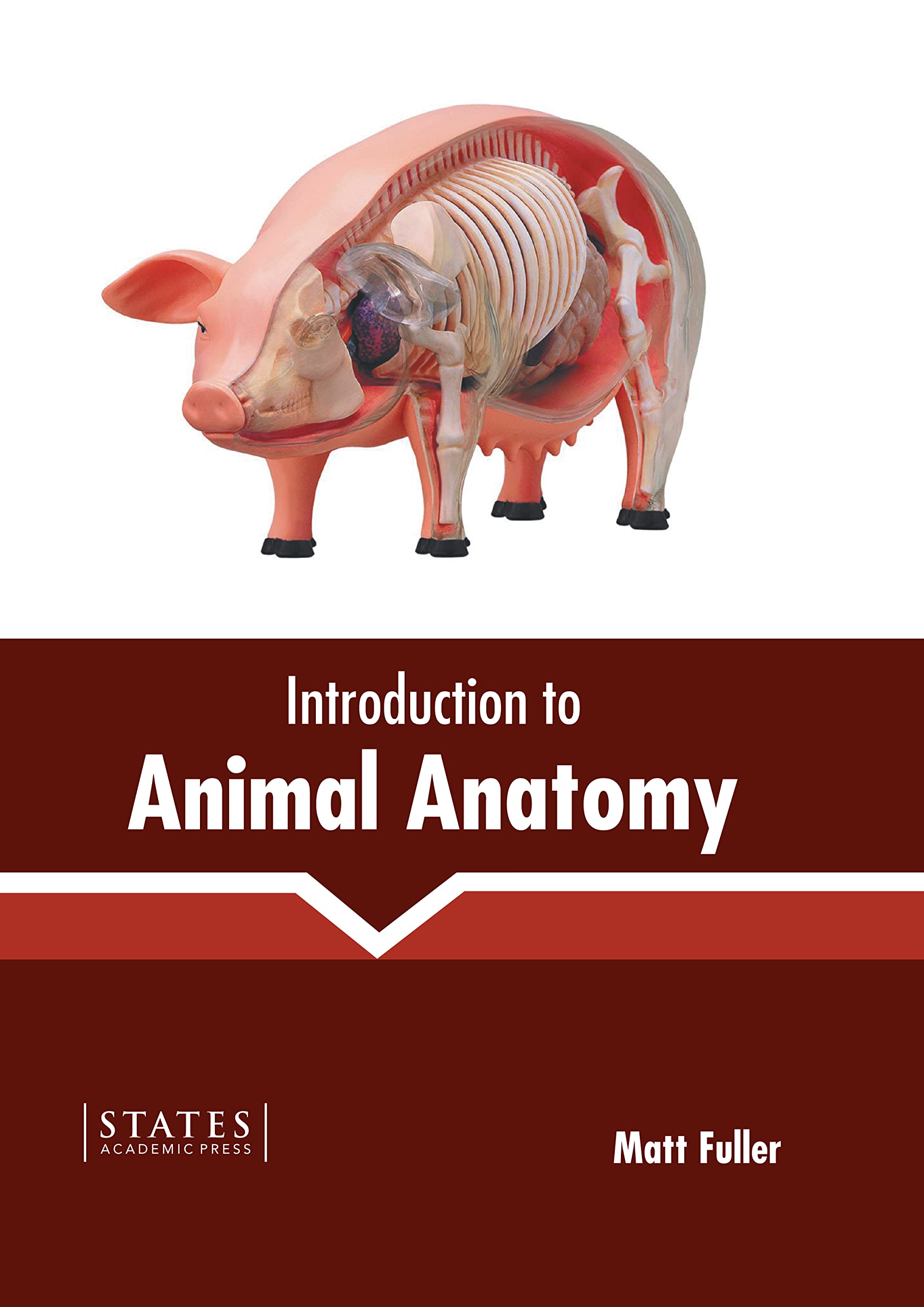 Introduction to Animal Anatomy by Matt Fuller Goodreads