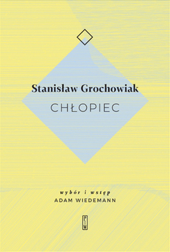 Chłopiec book cover