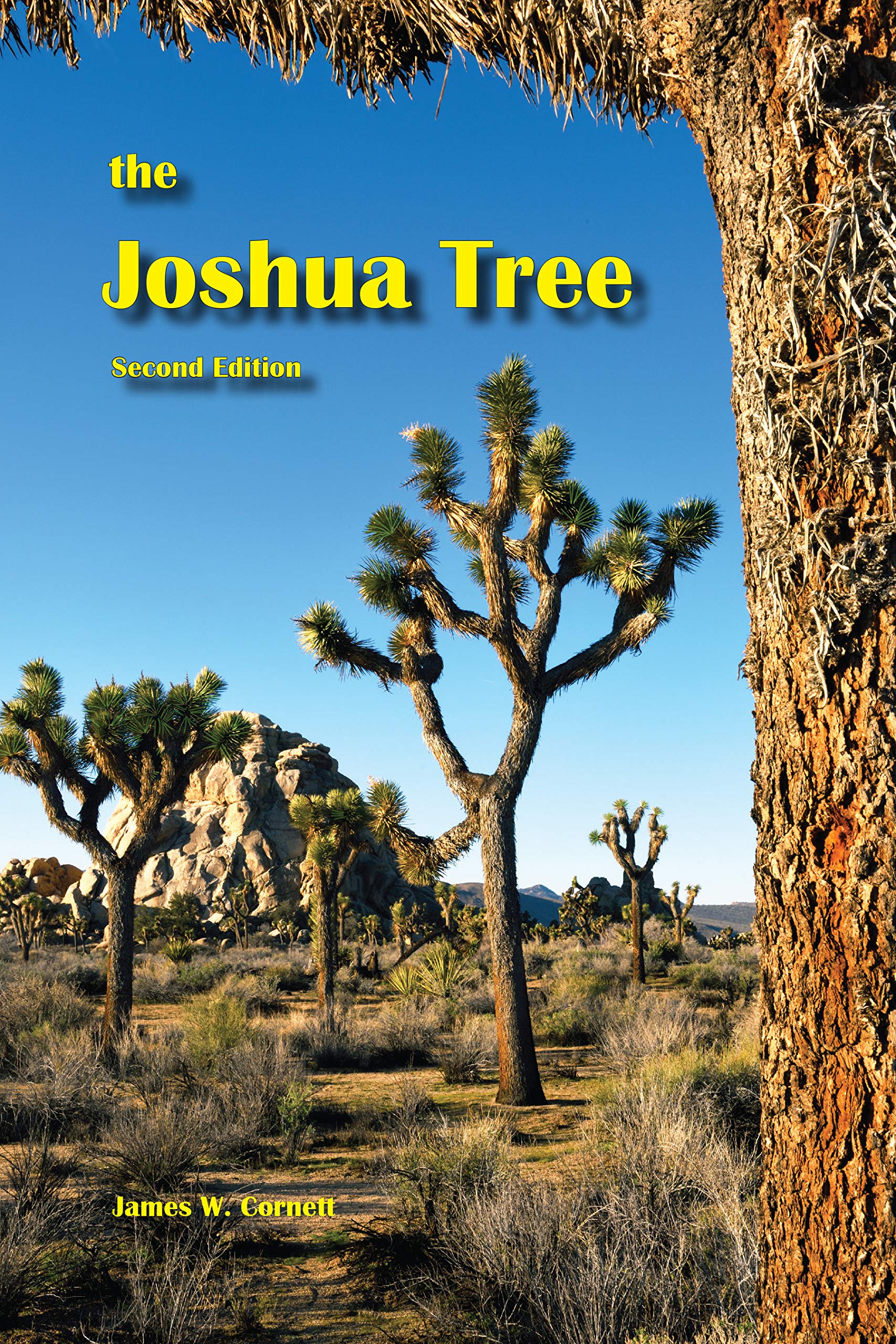 The Joshua Tree: Second Edition