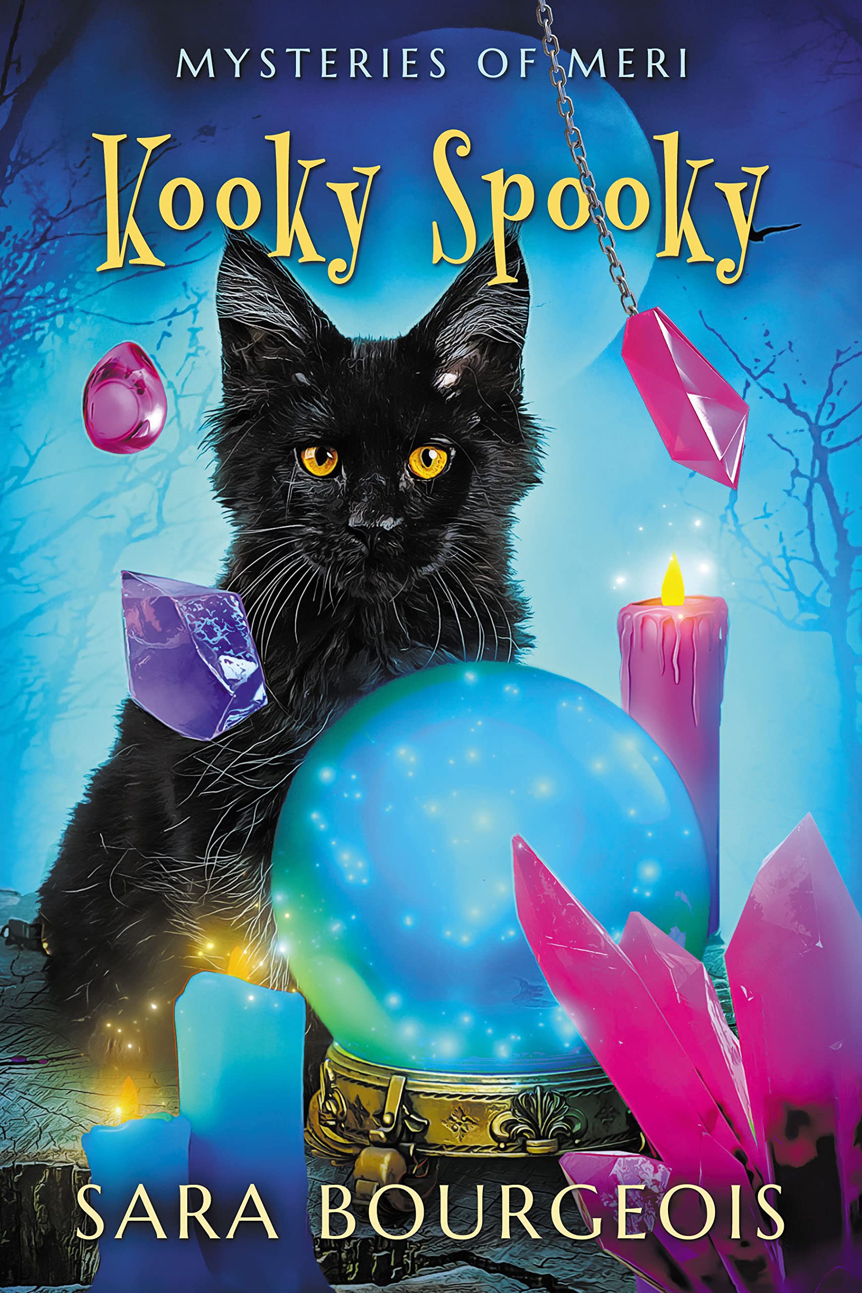 Kooky Spooky (Familiar Kitten Mysteries, #17)