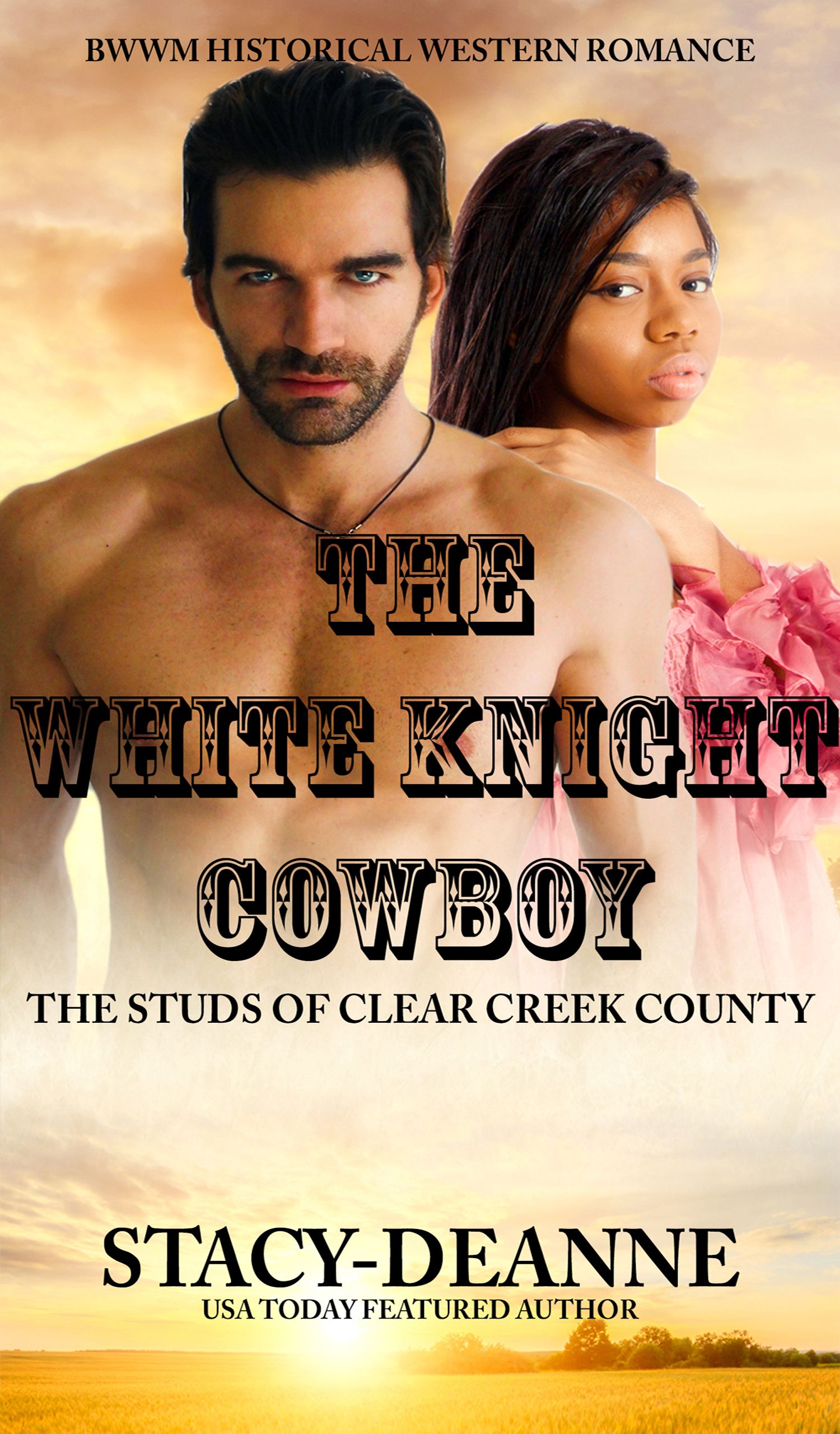The White Knight Cowboy Stacy-Deanne