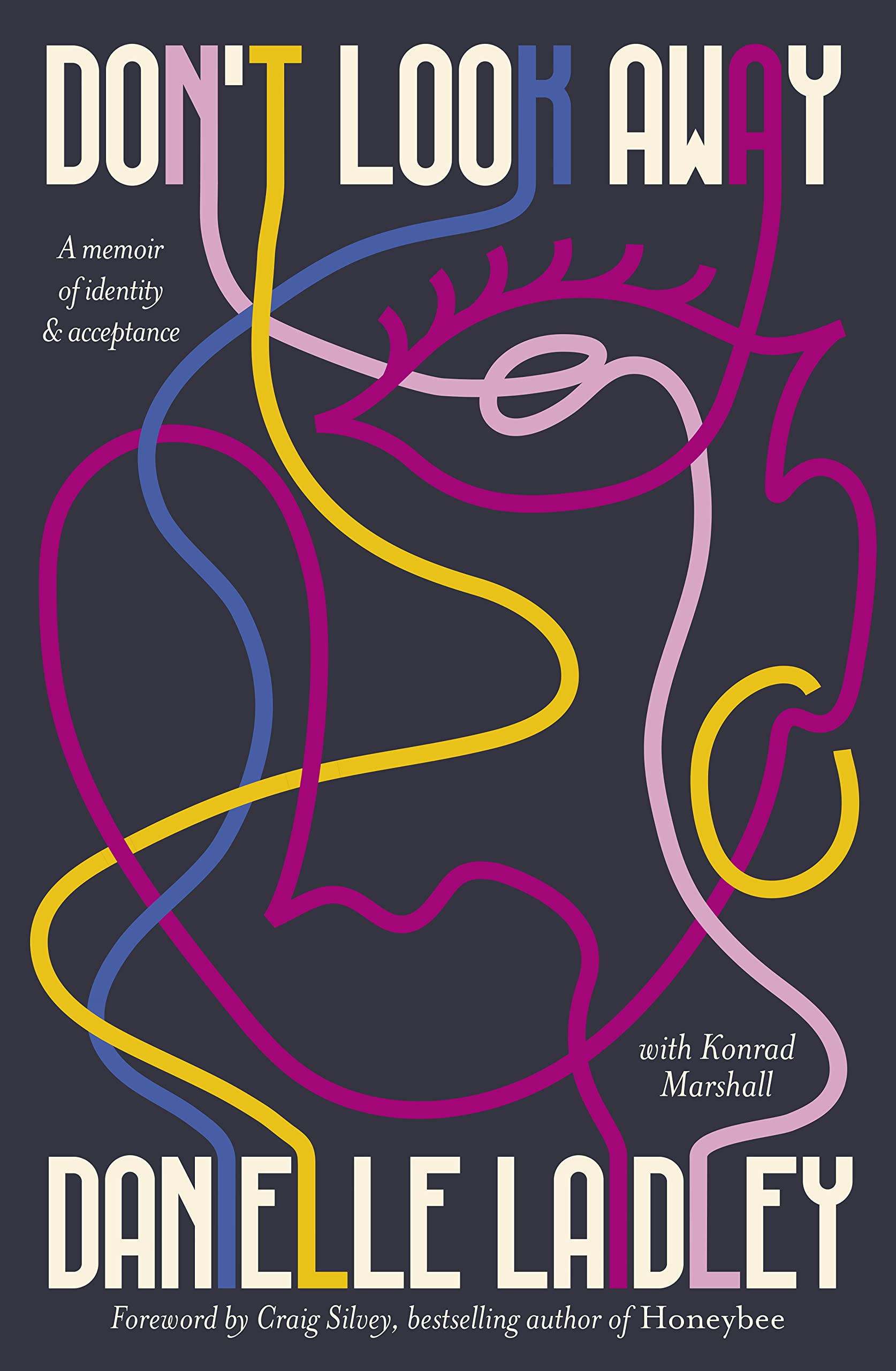 Don't Look Away: A memoir of identity & acceptance