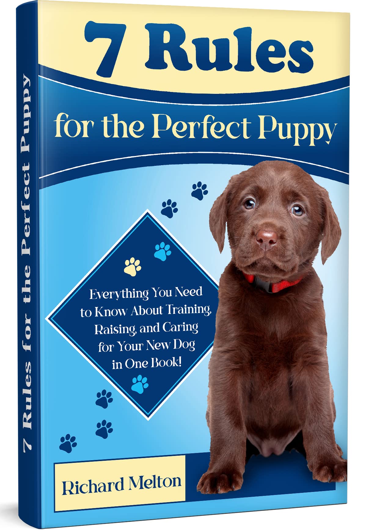 7-rules-for-the-perfect-puppy-everything-you-need-to-know-about
