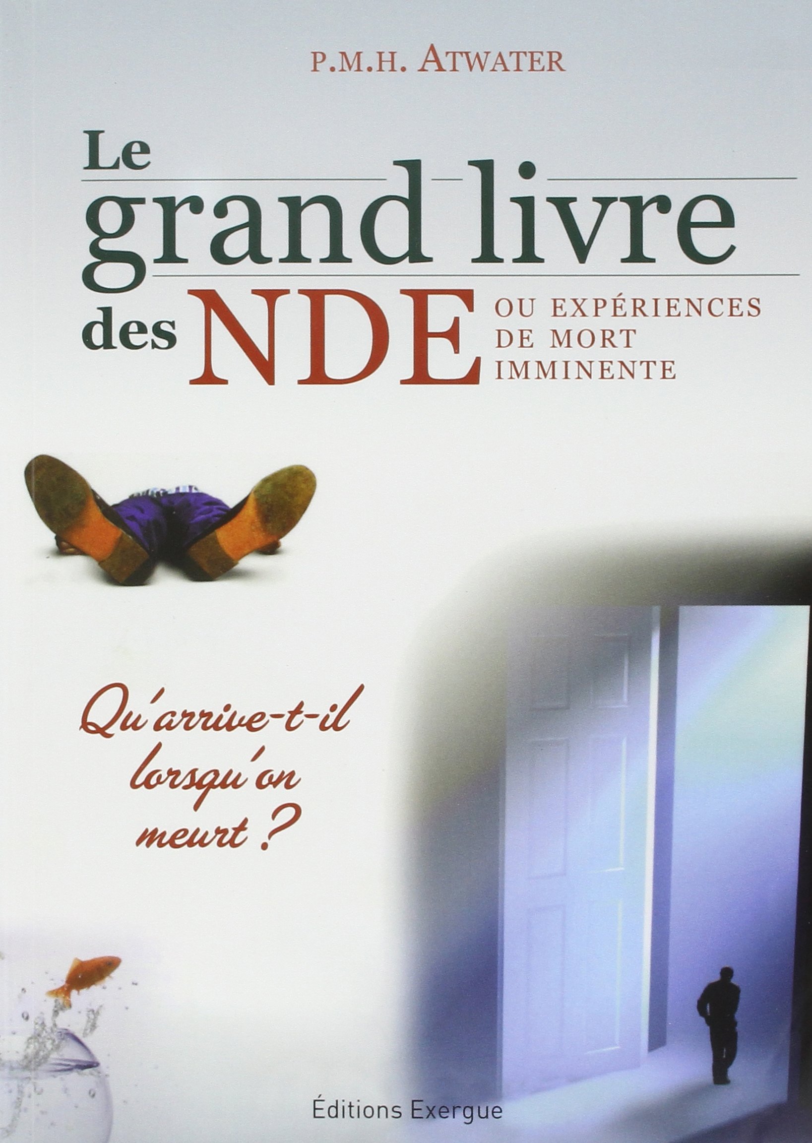 Le grand livre des NDE Ou expérience de mort imminente by Phyllis Atwater Goodreads Le grand livre des NDE Ou expérience de mort imminente by Phyllis Atwater Goodreads