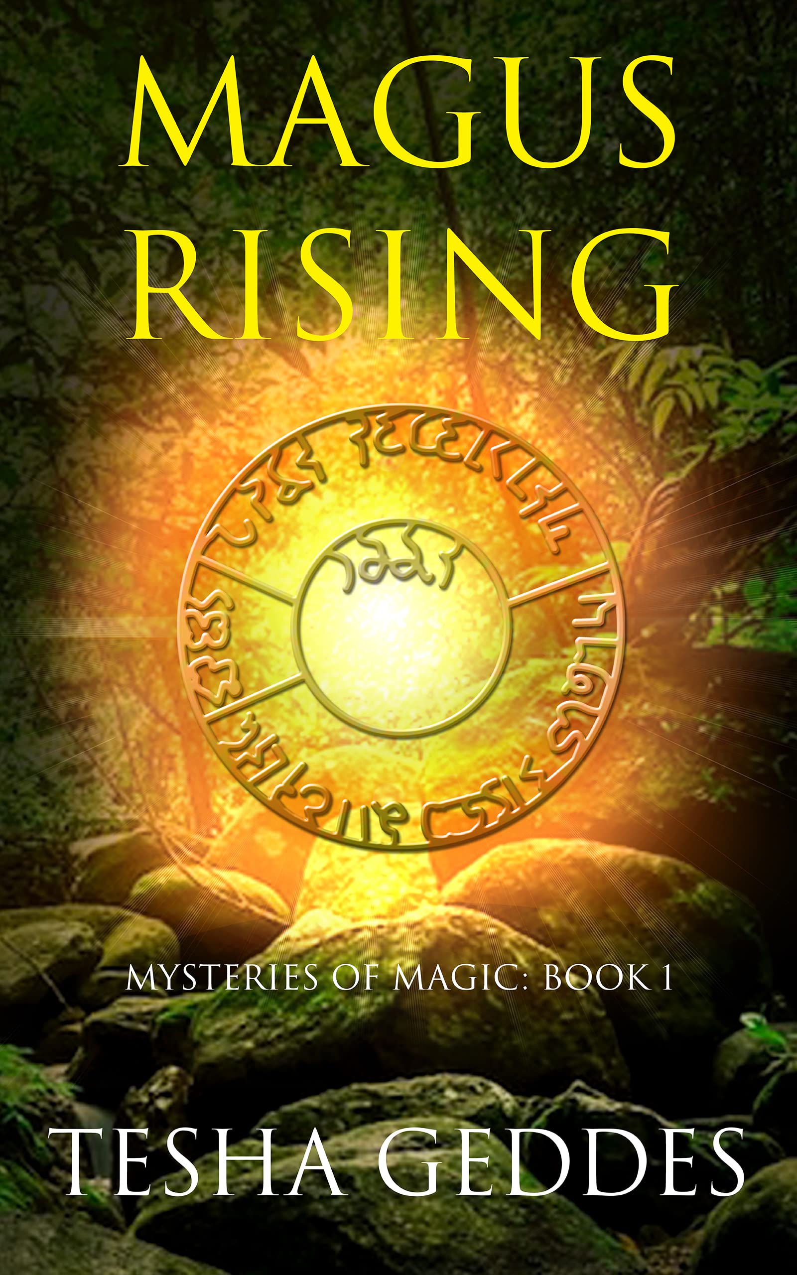 Magus Rising: Mysteries of Magic: Book 1