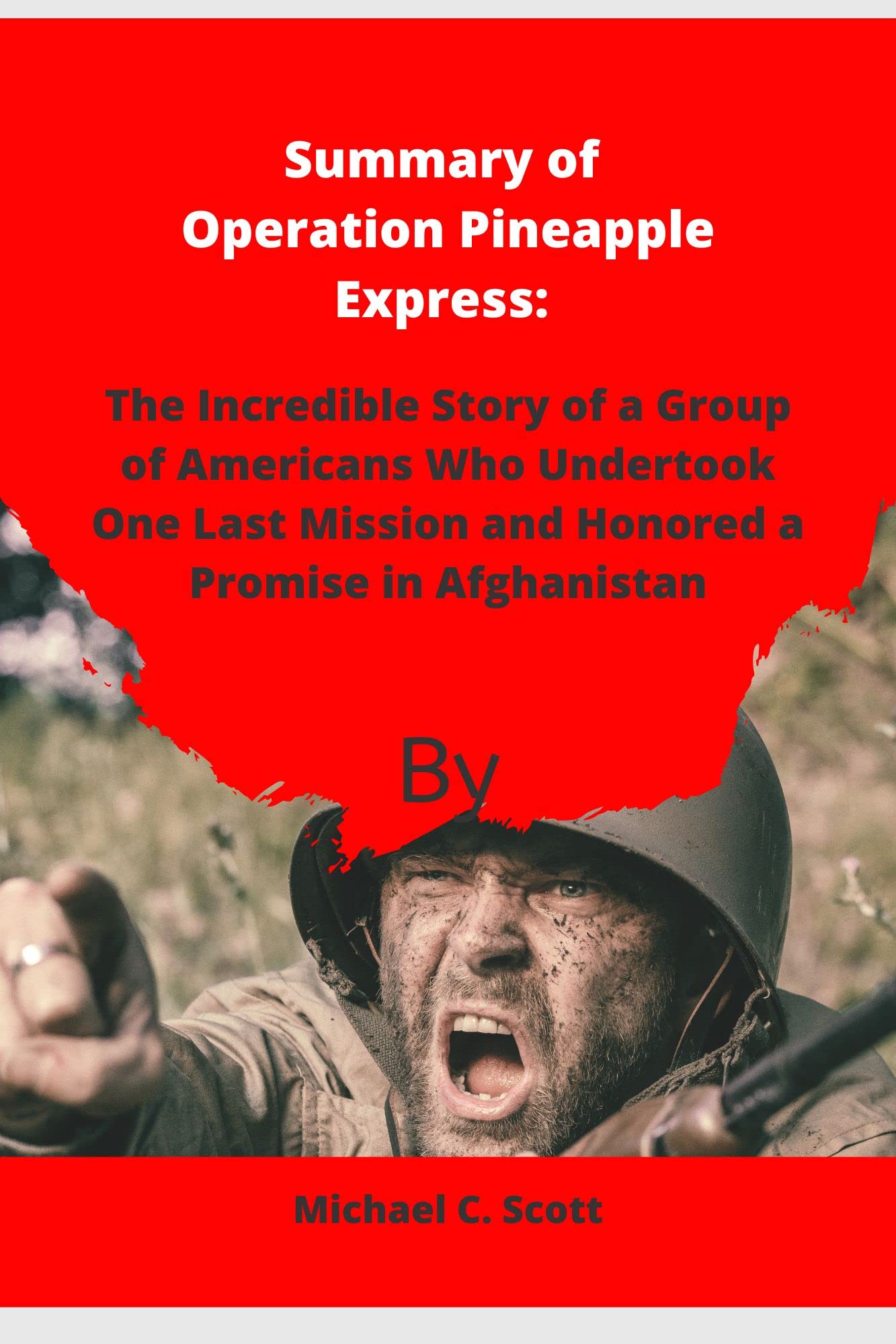 Summary of Operation Pineapple Express The Incredible Story of a Group