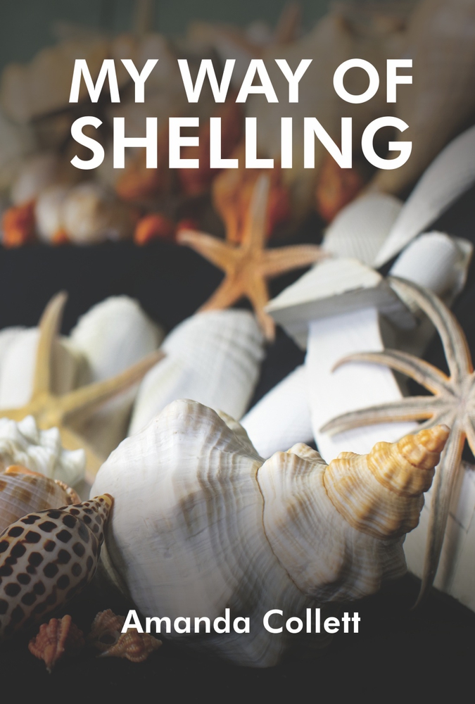 MY WAY OF SHELLING: SEA SHELLS by Amanda Collett | Goodreads