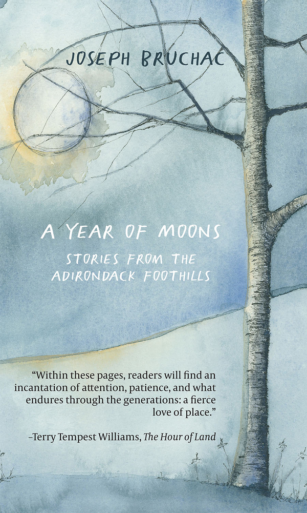 A Year of Moons book cover
