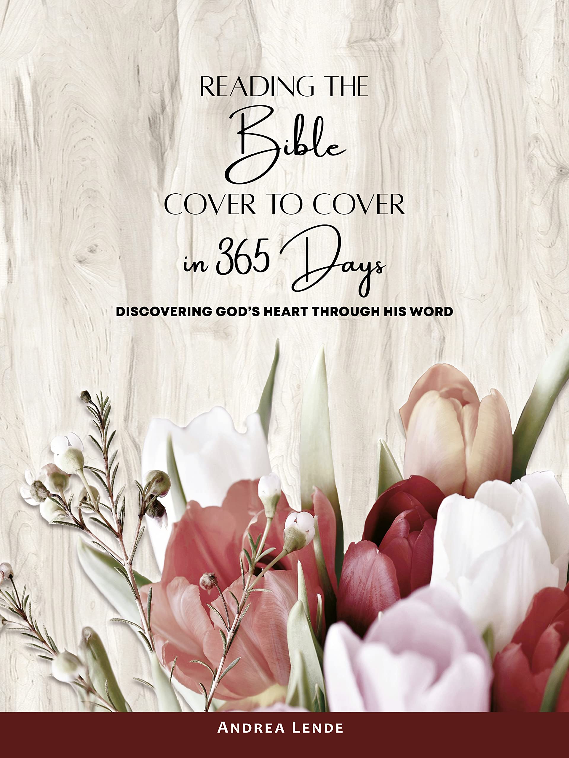 reading-the-bible-cover-to-cover-in-365-days-discovering-god-s-heart