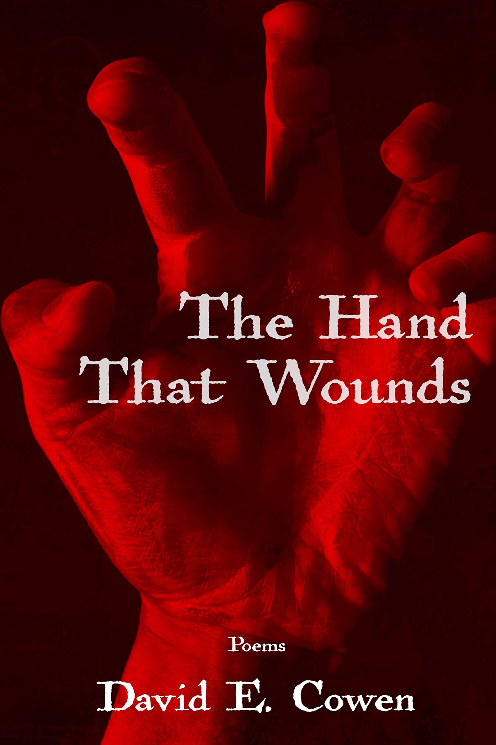 The Hand that Wounds book cover